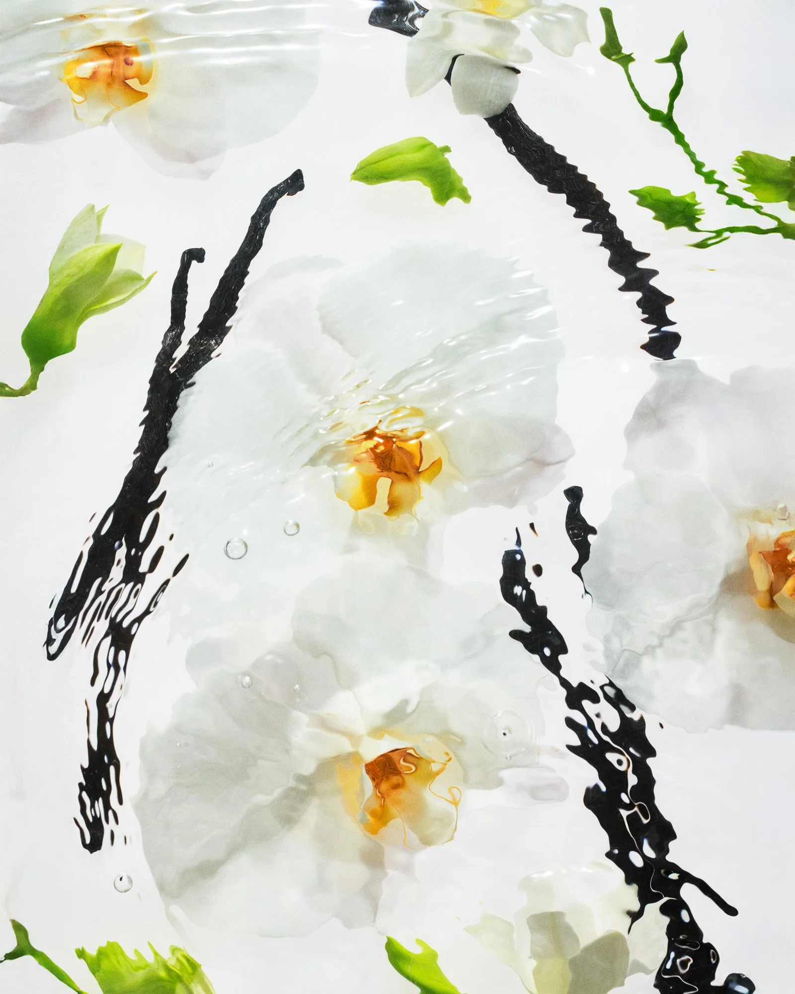 Rikky-Fernandes-2026-1565-JosieMaran.jpg