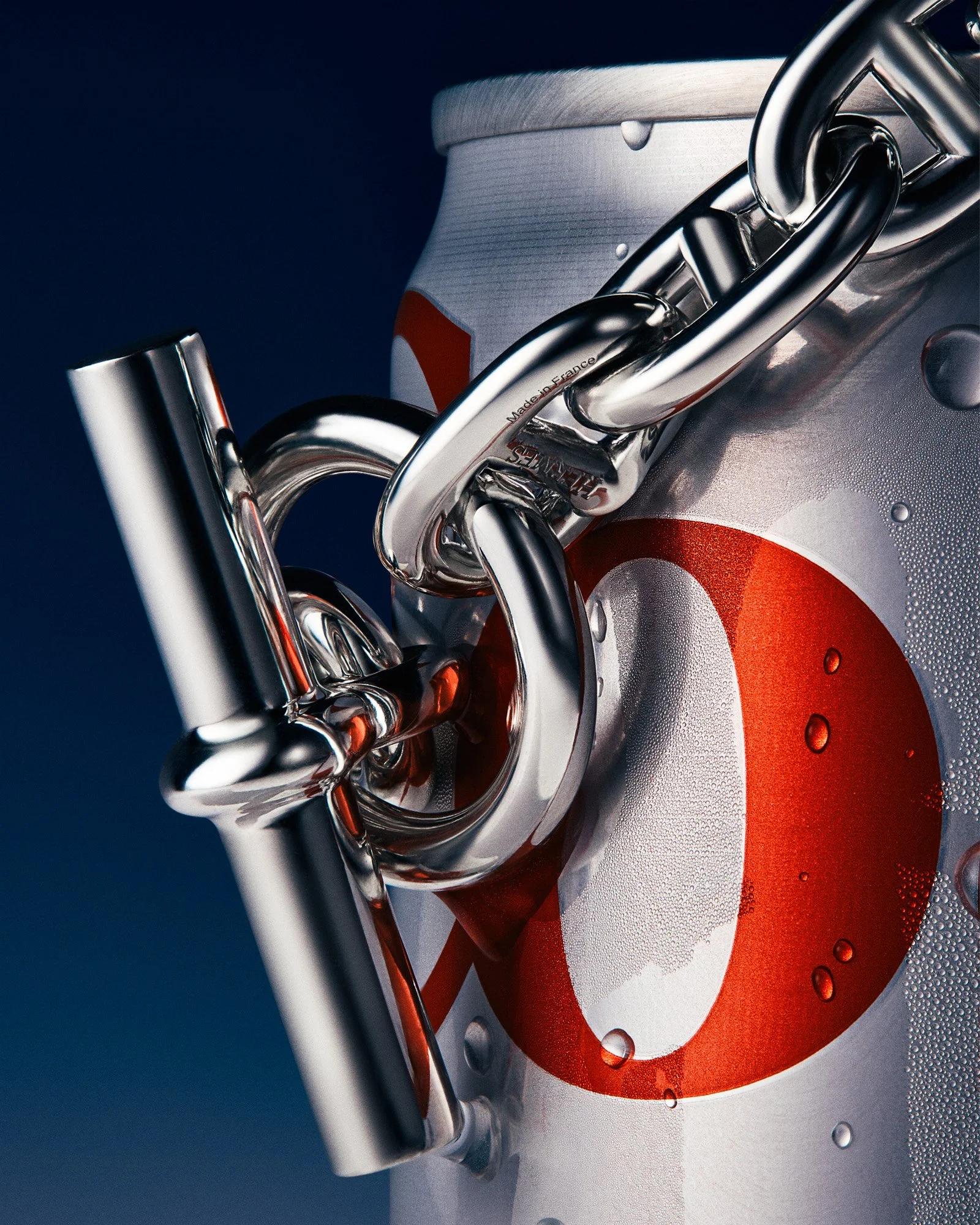 Rikky-Fernandes-2026-1517-Hermes-Diet-Coke.jpg