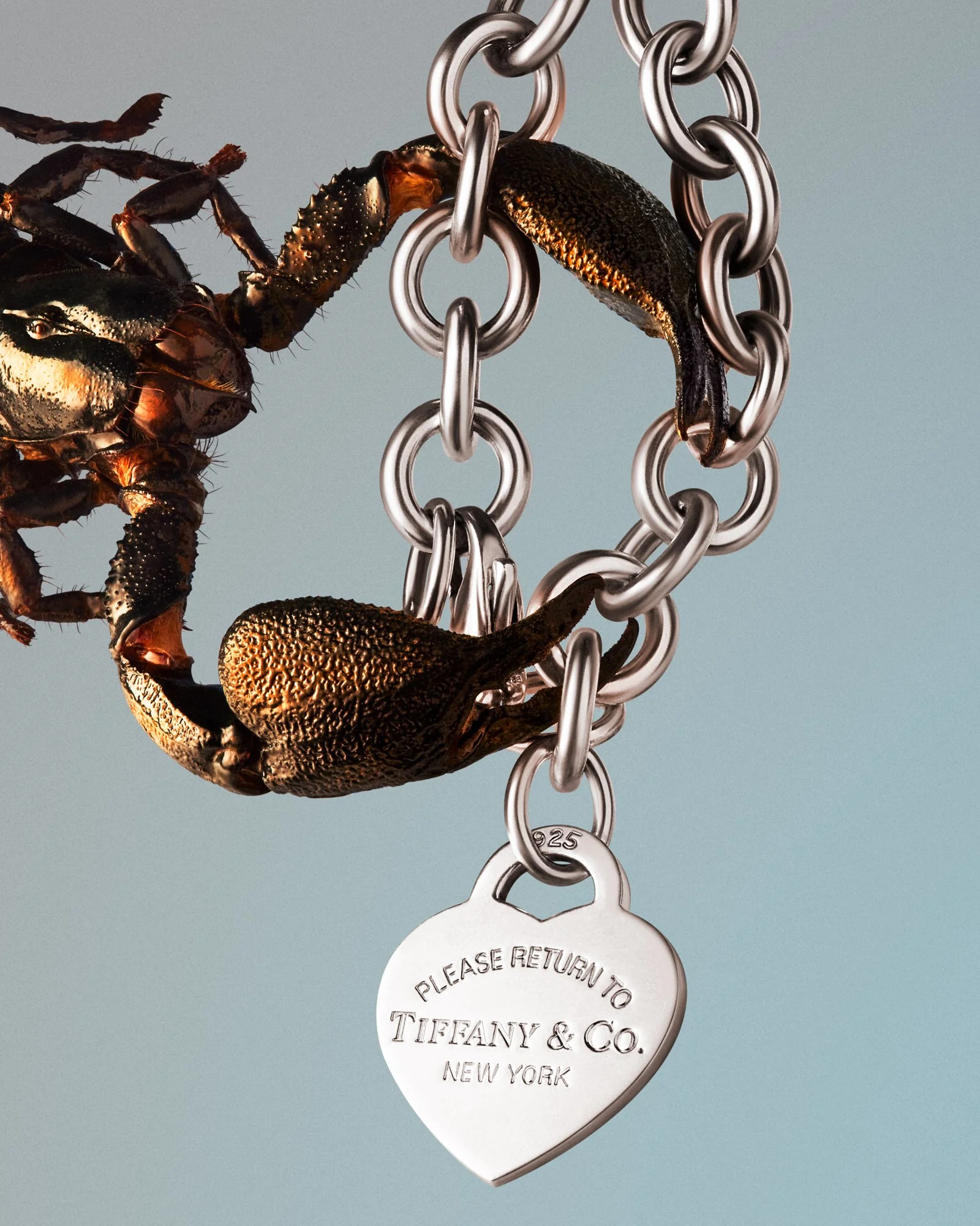 Rikky-Fernandes-2022-0269-Scorpion-Tiffany.jpg