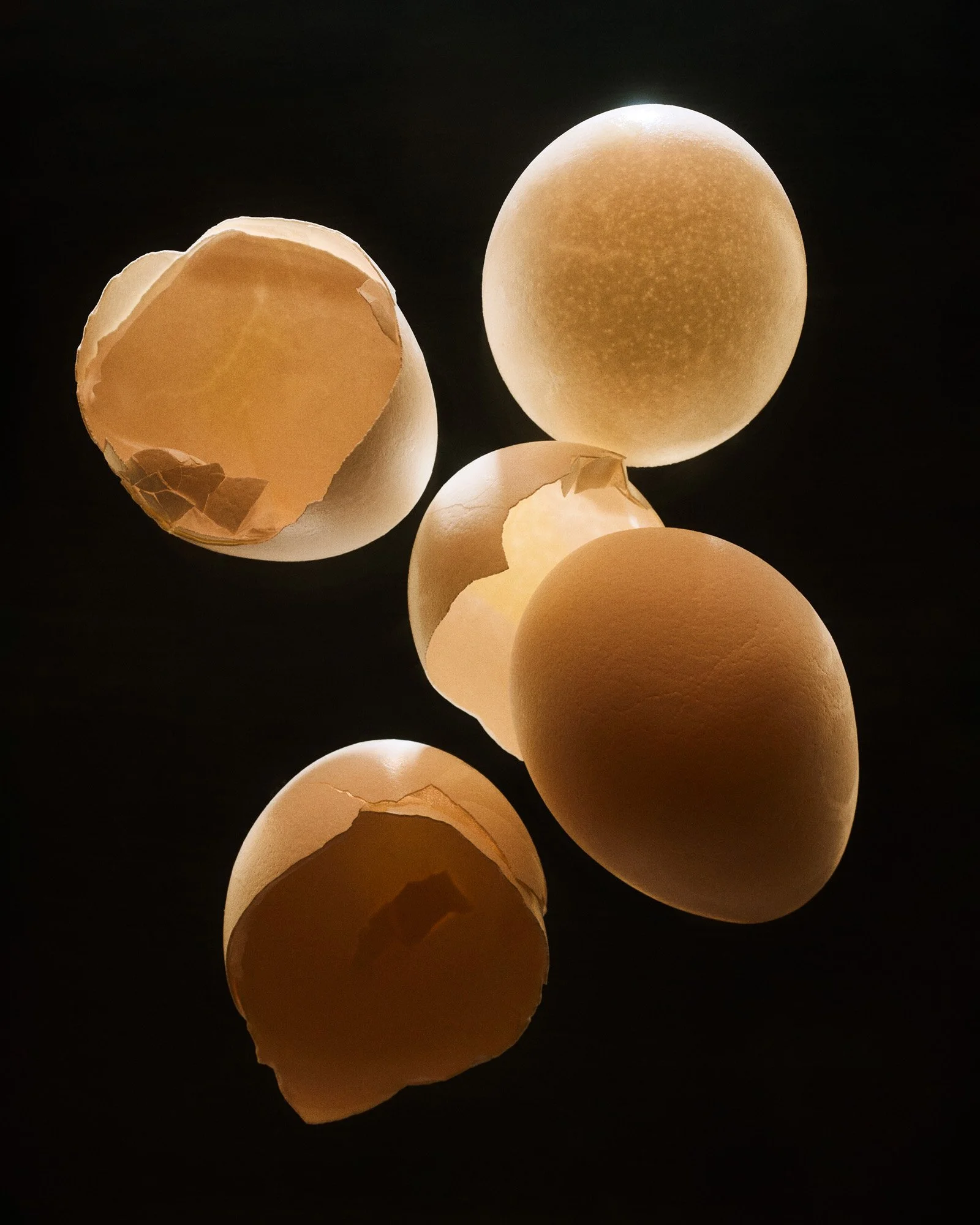 Rikky-Fernandes-2025-1507-Egg.jpg