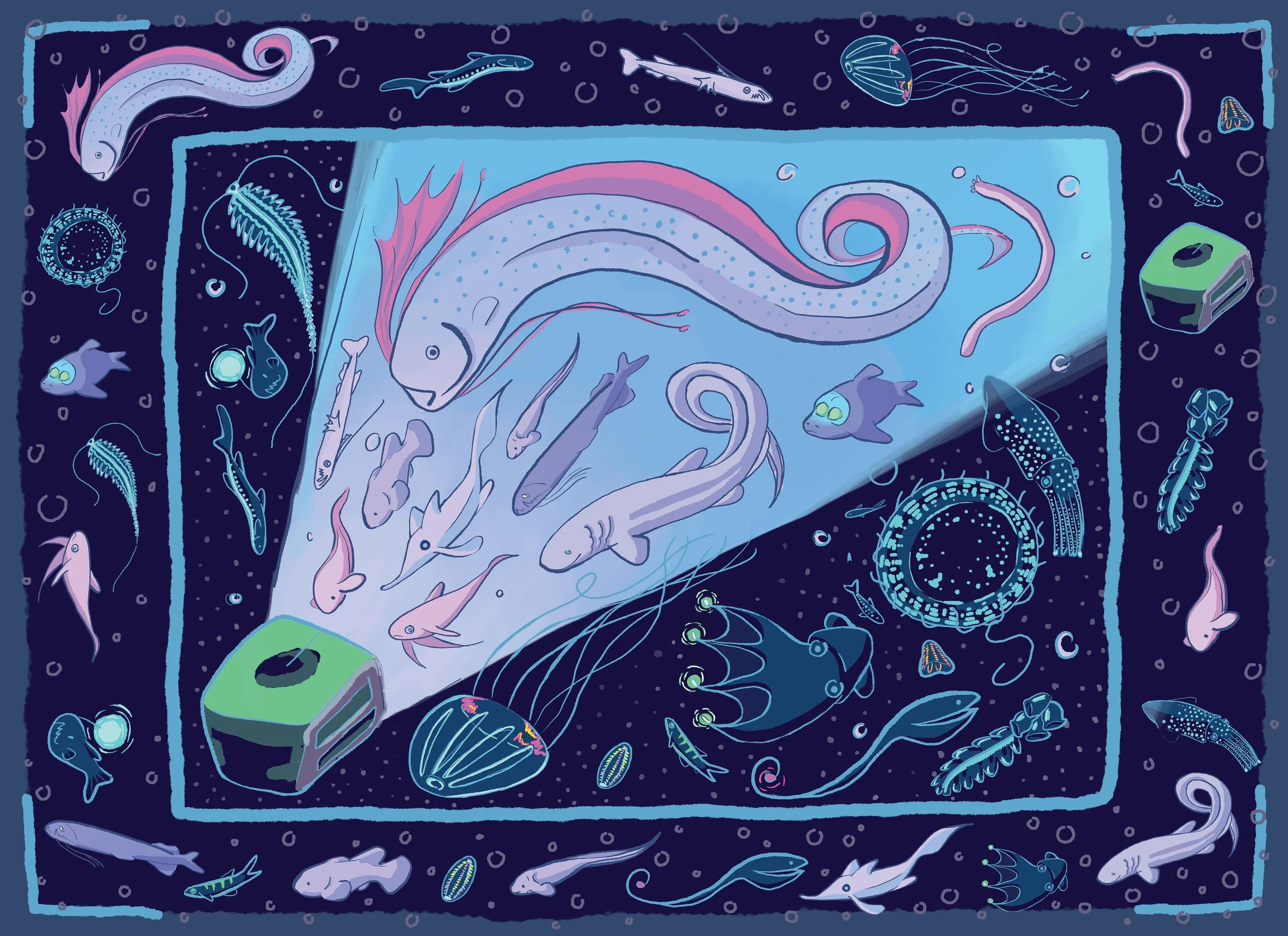 search and find fish.jpg