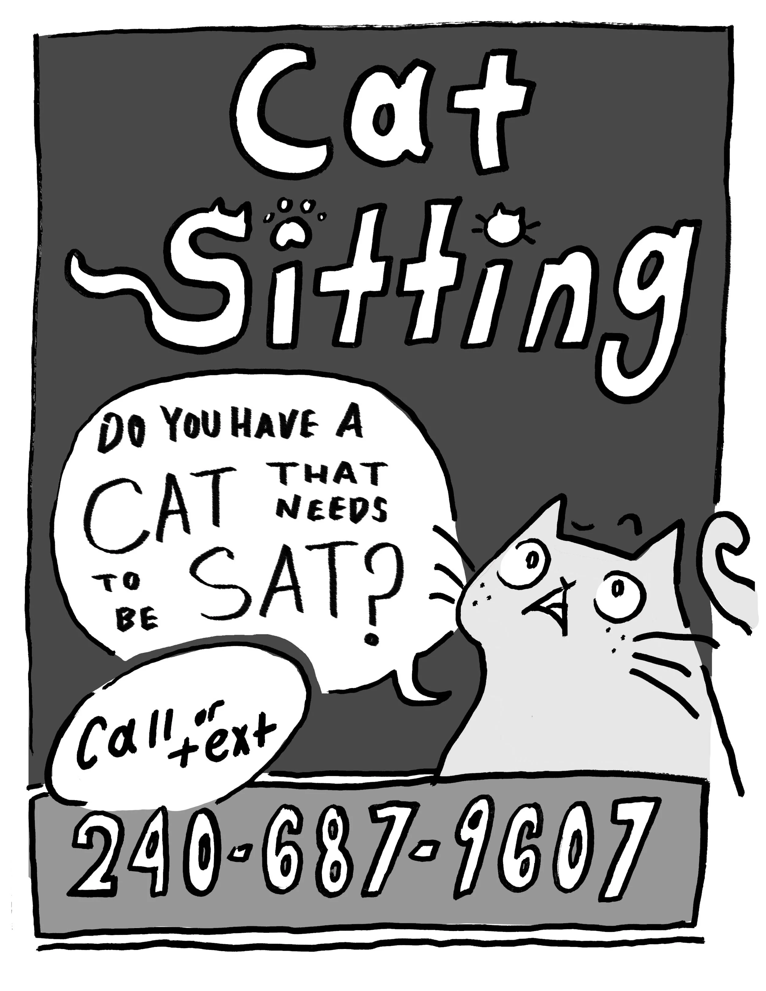 cat sitting.jpg
