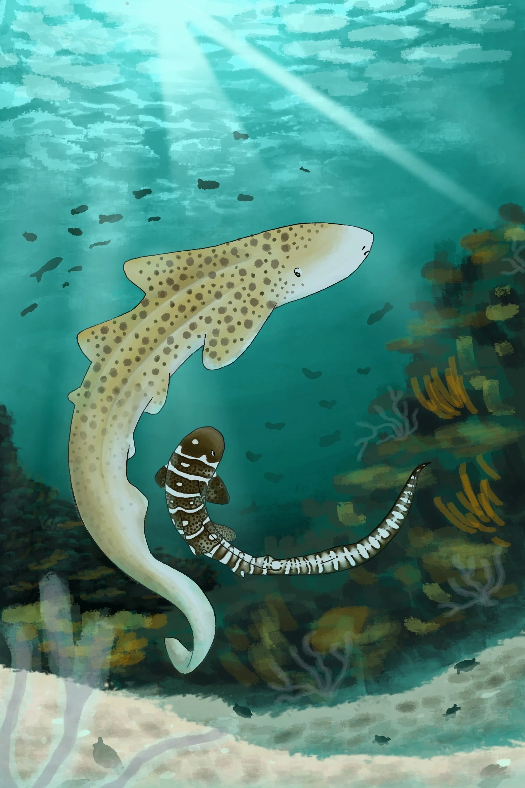 zebrashark_squiggle.jpg