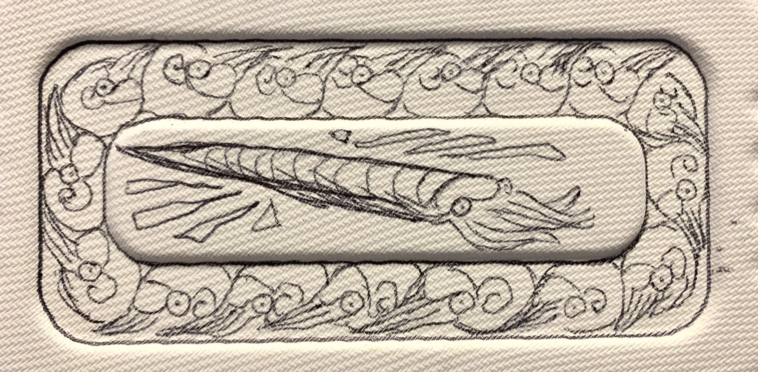 orthoceras drawing.jpg