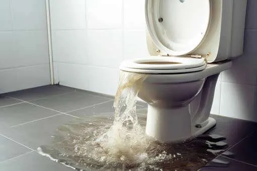 Toilet overflowing with water spilling onto bathroom floor.