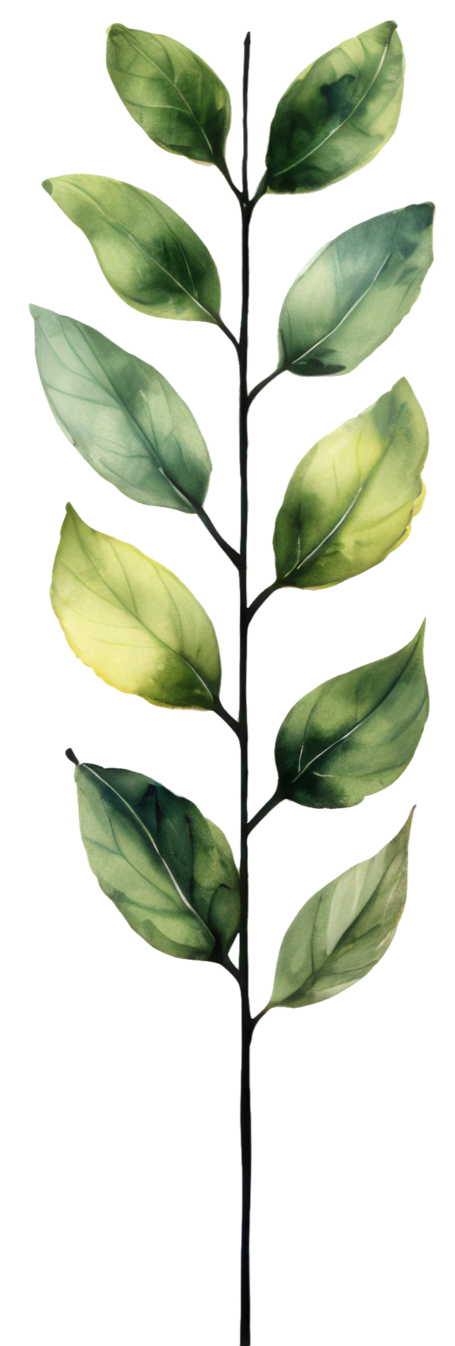 Artificial decorative plant with green variegated leaves on a black stem.