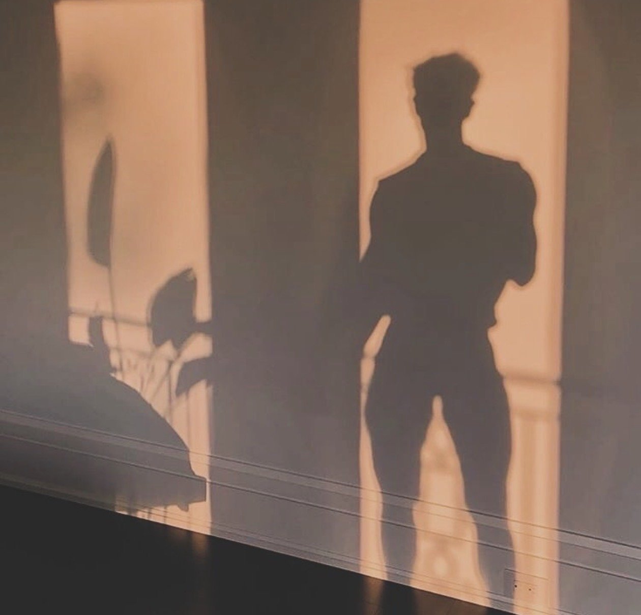Sombras de una persona adulta y una niña en pareja con una cortina de fondo. La sombra de la niña lleva un sombrero y parece estar en la esquina con una planta a su lado.