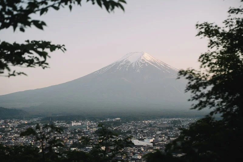 Snow-capped Mount Fuji seen through trees over a cityscape.