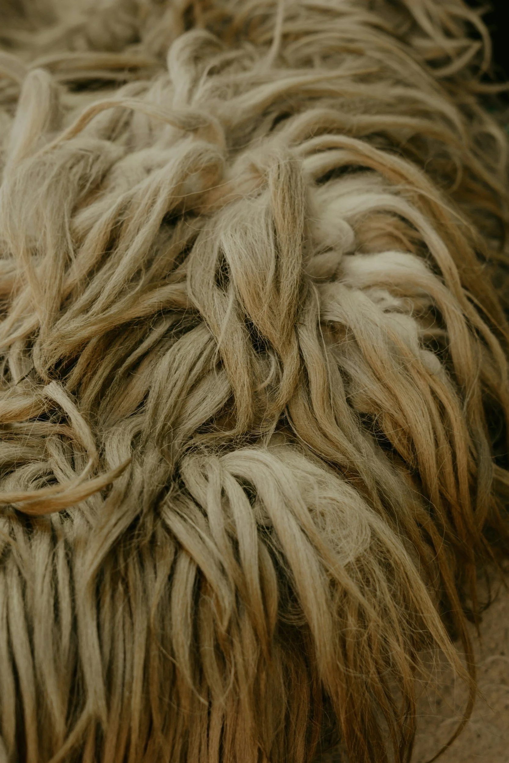 unsplash-image-kc4qXLtwKA0.jpg