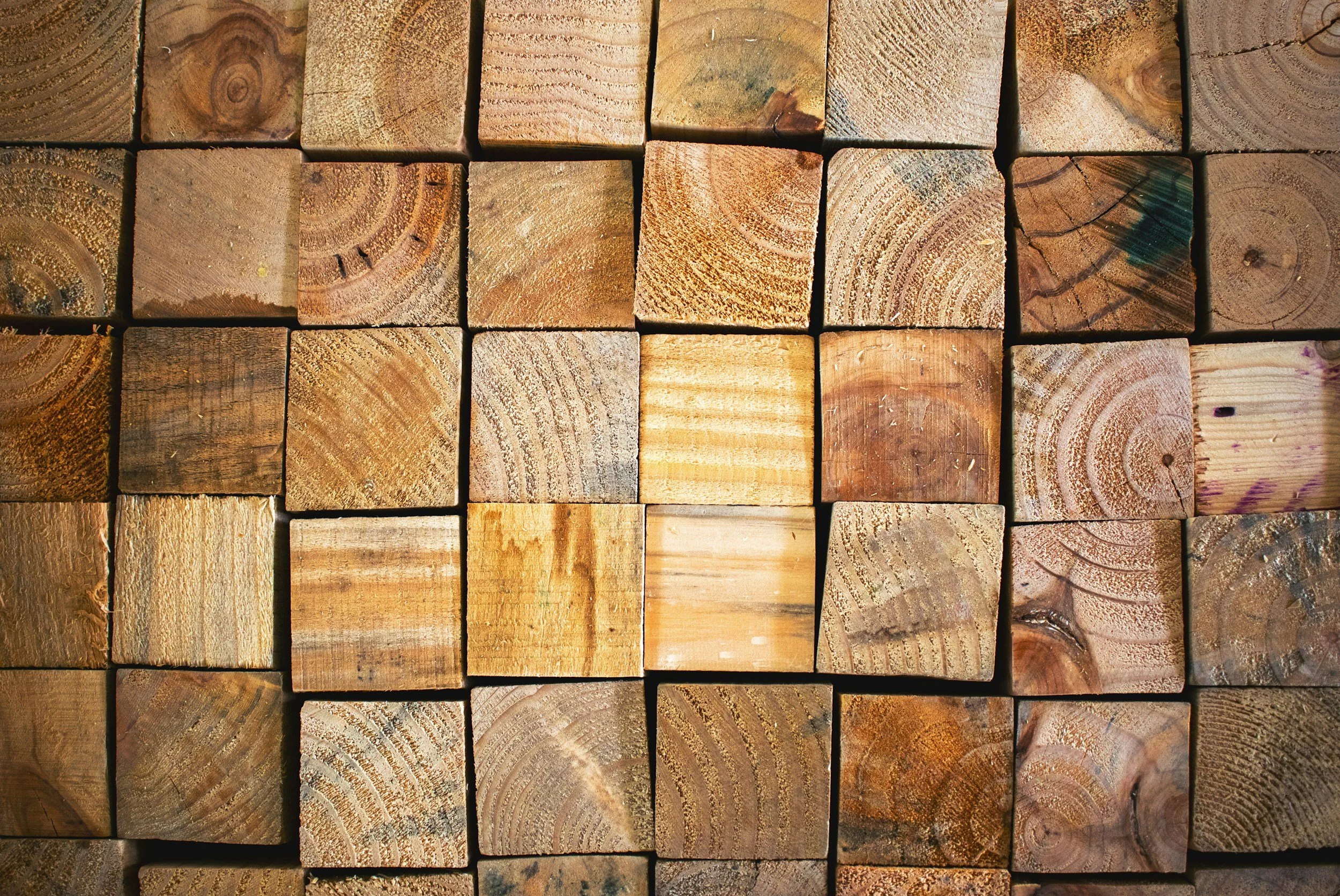 unsplash-image-1f0DB1u7p8Q.jpg