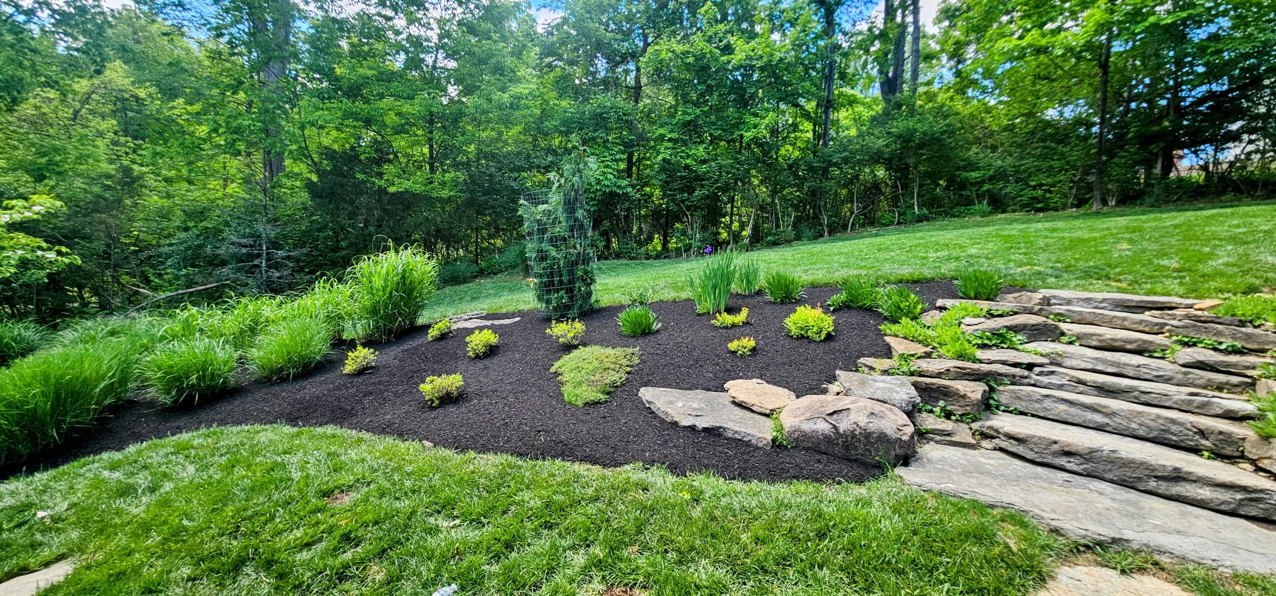 Backyard landscape bed refreshed with dark mulch, small shrubs, and a clean stone stepping path.