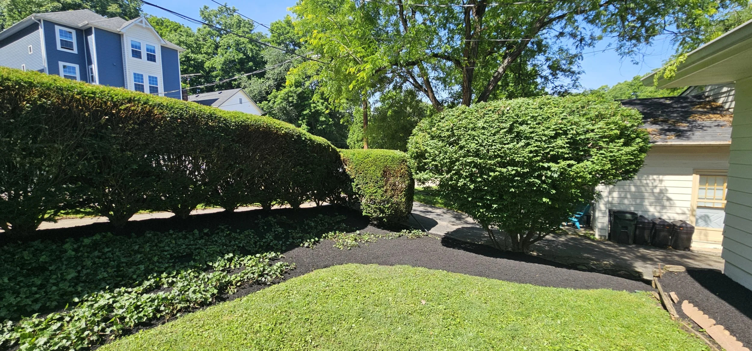 Trimmed hedges and maintained landscape beds along a residential property.