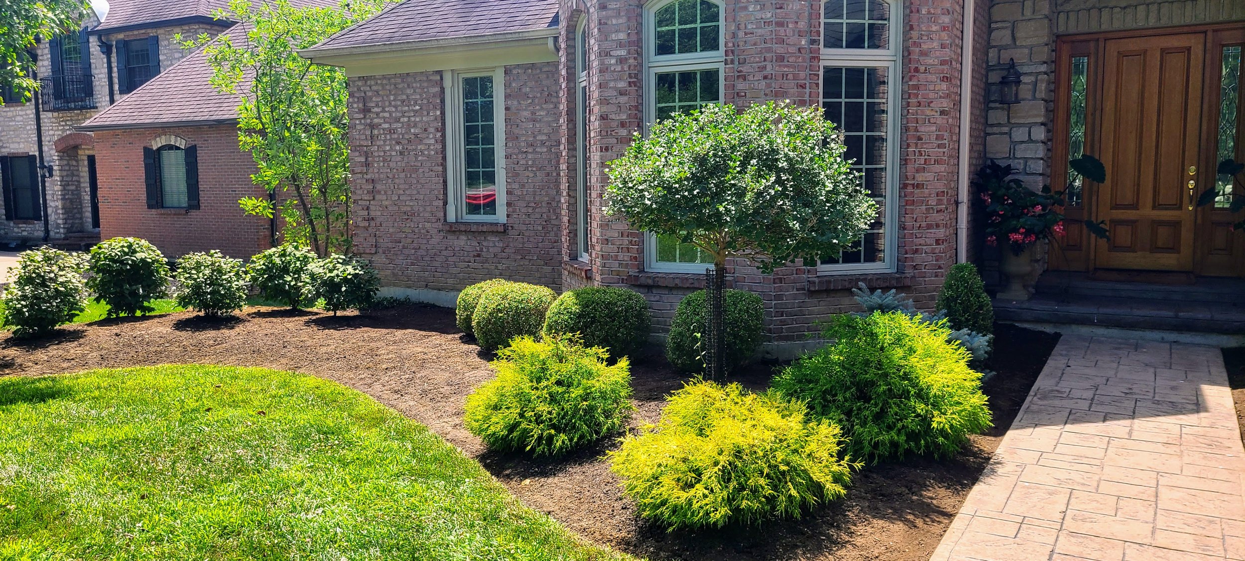Clean residential landscape bed with trimmed shrubs, mulch, and detailed garden bed maintenance.