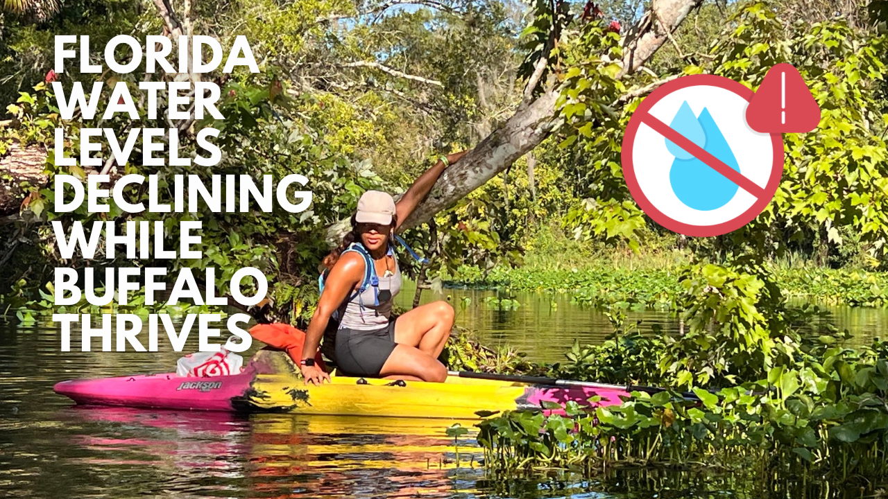 Florida’s Shorelines Decline While Buffalo’s Waters are Thriving