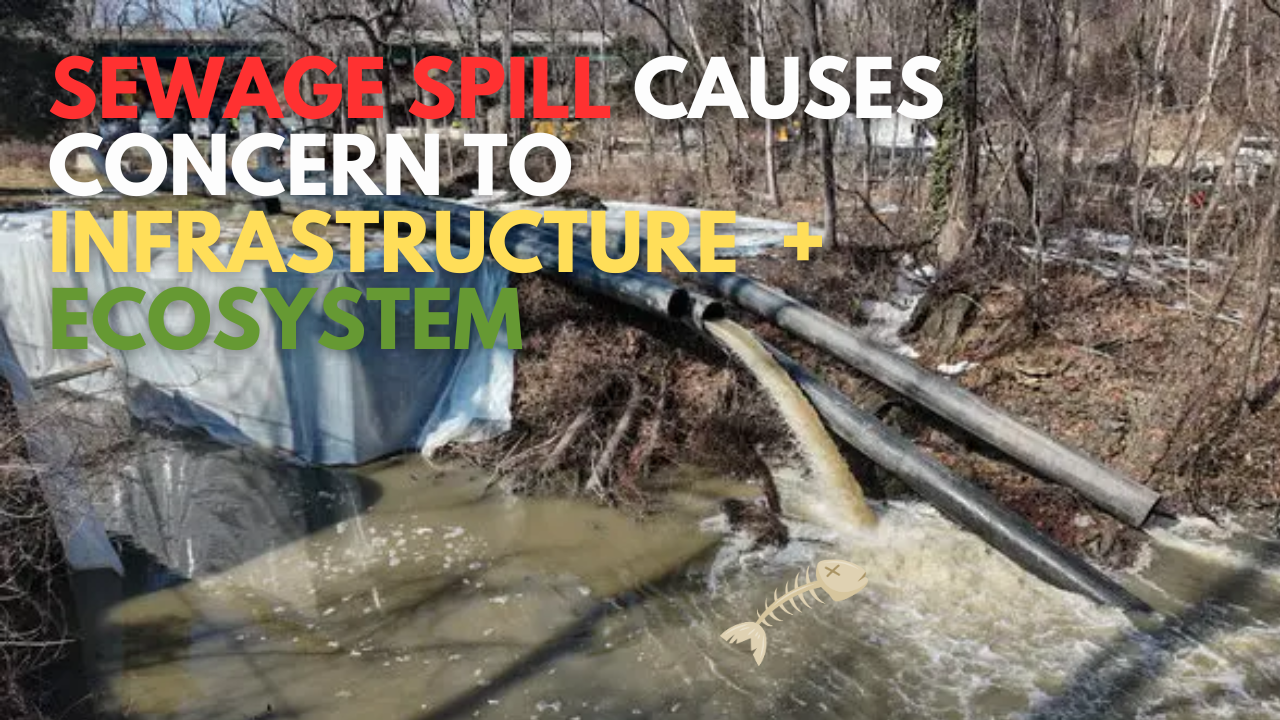 Potomac River Sewage Spill Lawsuit Raises&nbsp;Questions About Aging Infrastructure and Environmental Accountability