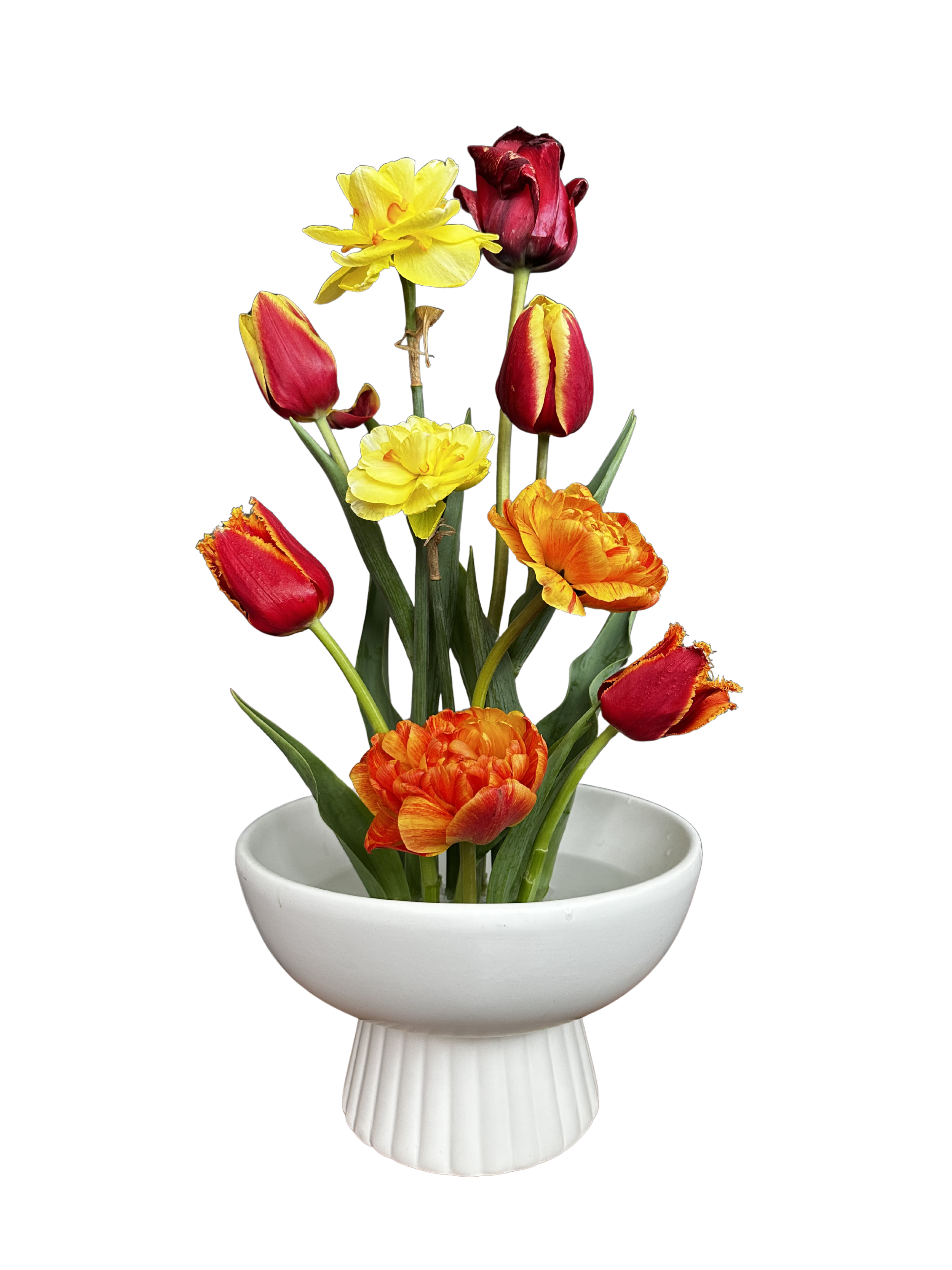 Linear, asymmetrical floral arrangement featuring tulips, created by a Black queer woman florist in Washington DC