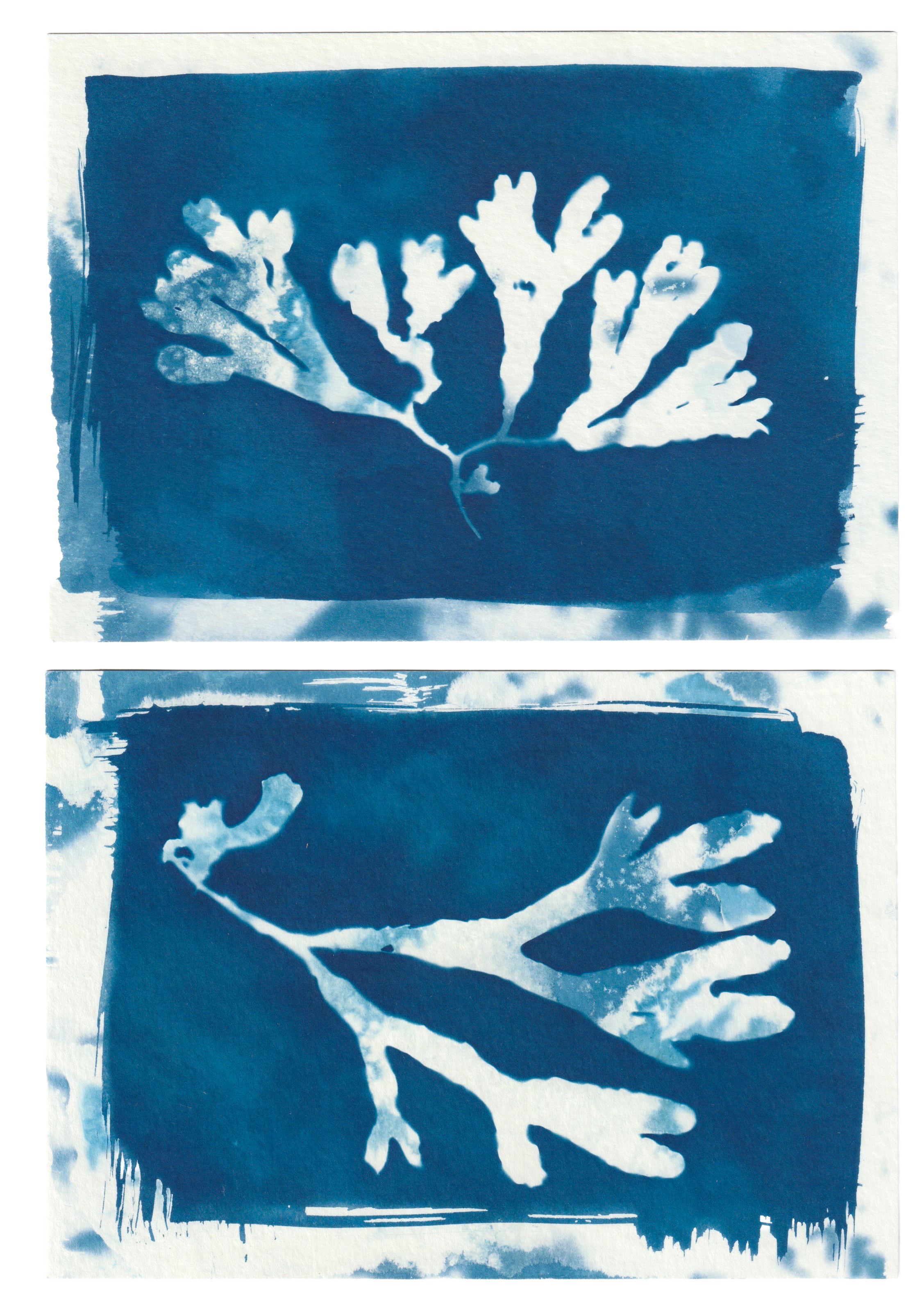 Scan 27.png