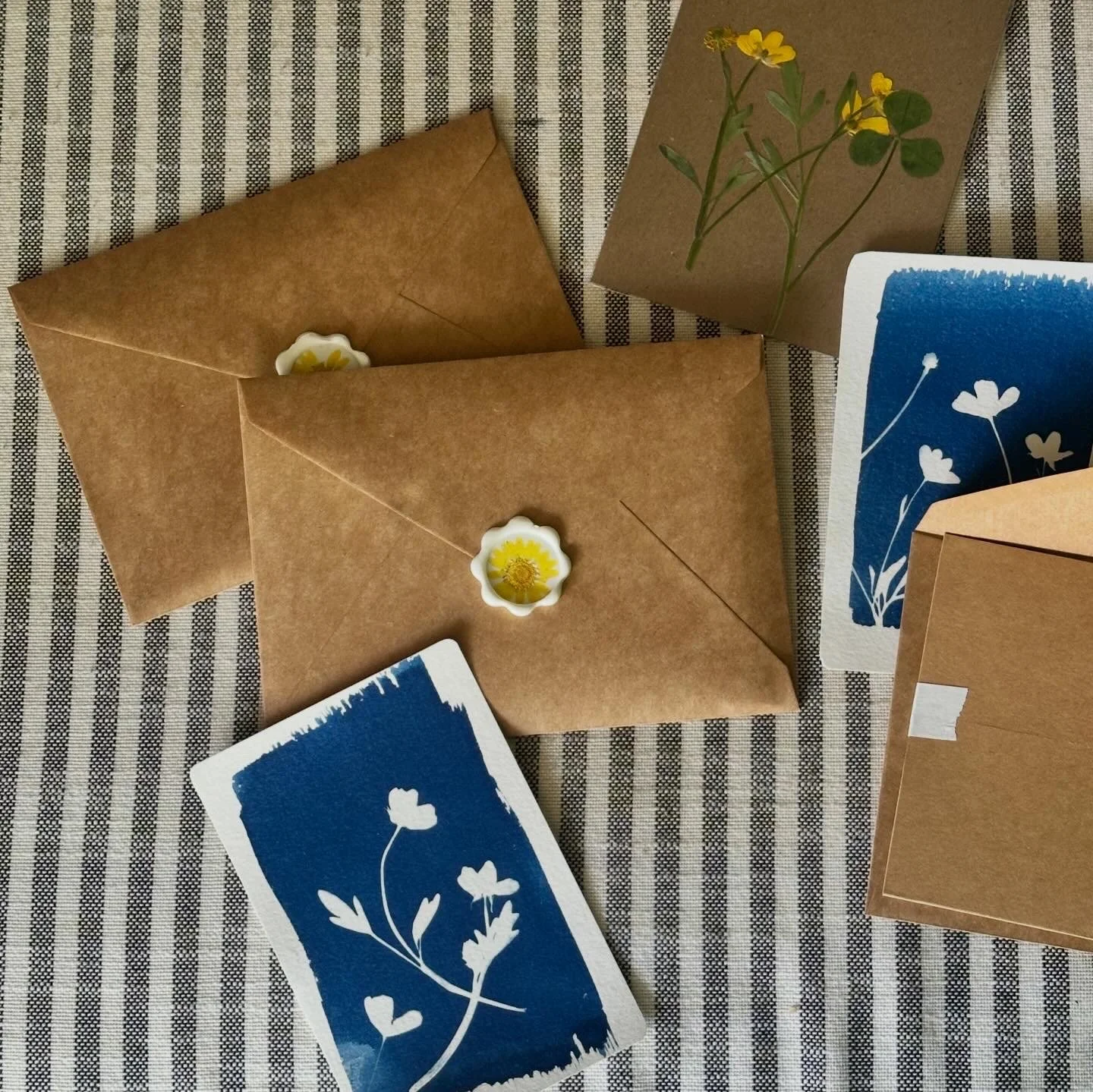 Blind Date with a Sunprint Kit (Made to Order)