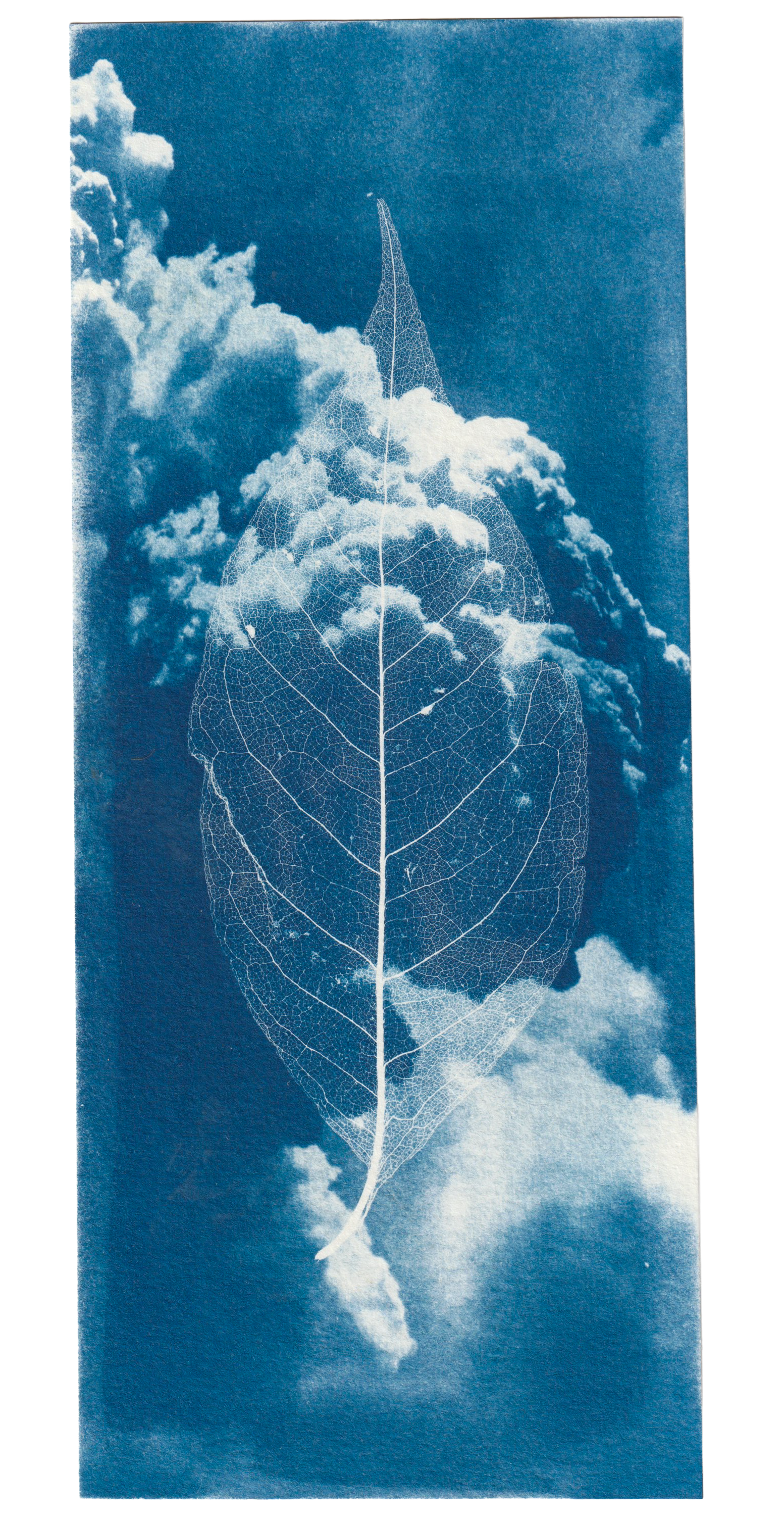 Scan 14.png