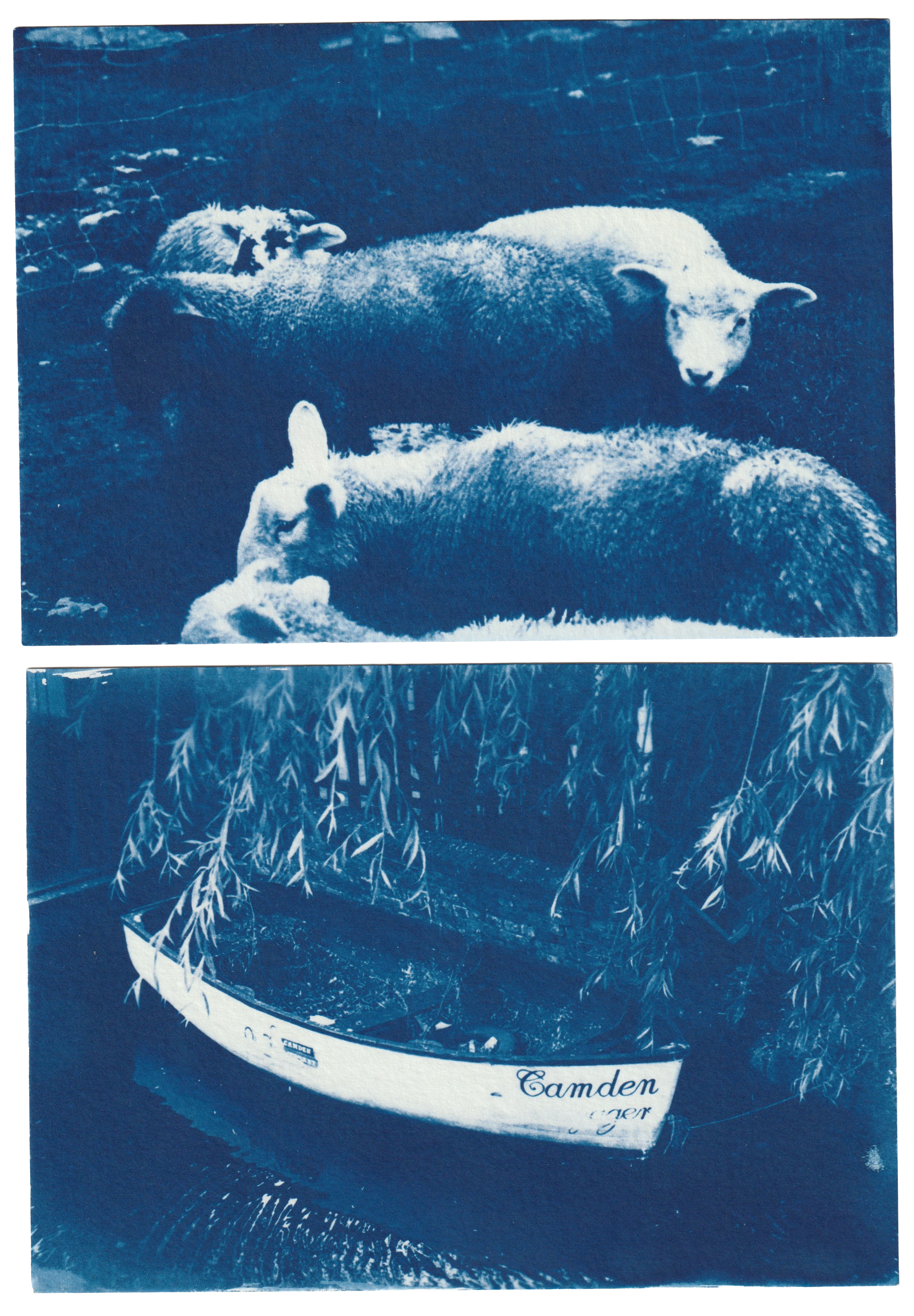 Scan 29.png