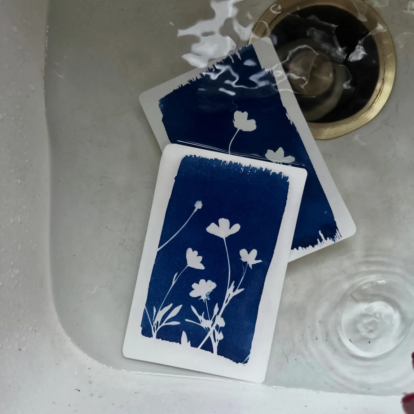 05D0E324-5058-4F81-BE12-EA39FDAC9C05.JPG