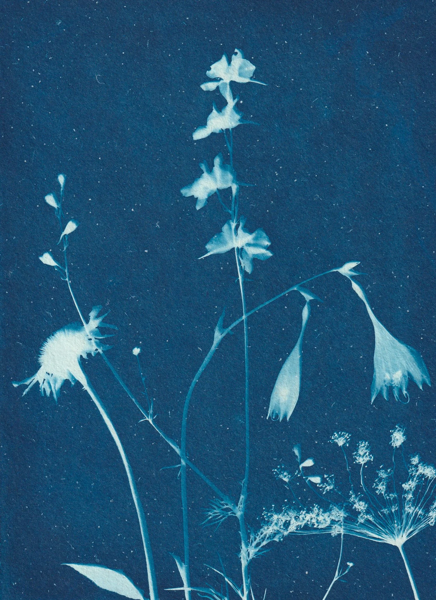 Scan 31.jpg