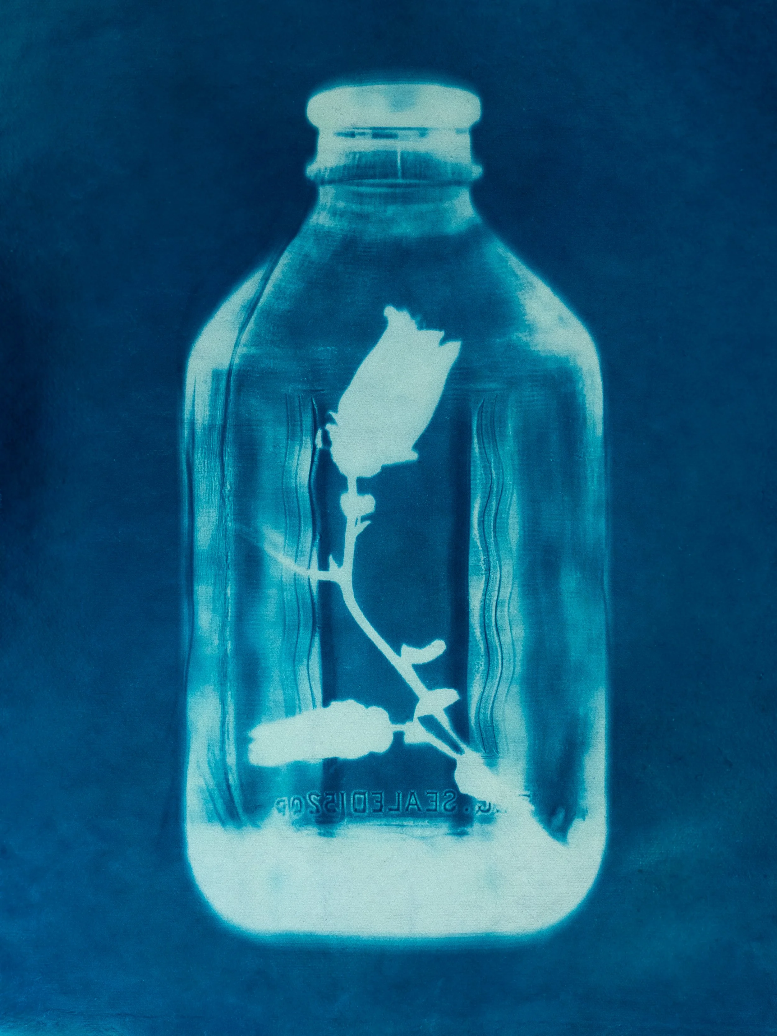 bottle1.jpg