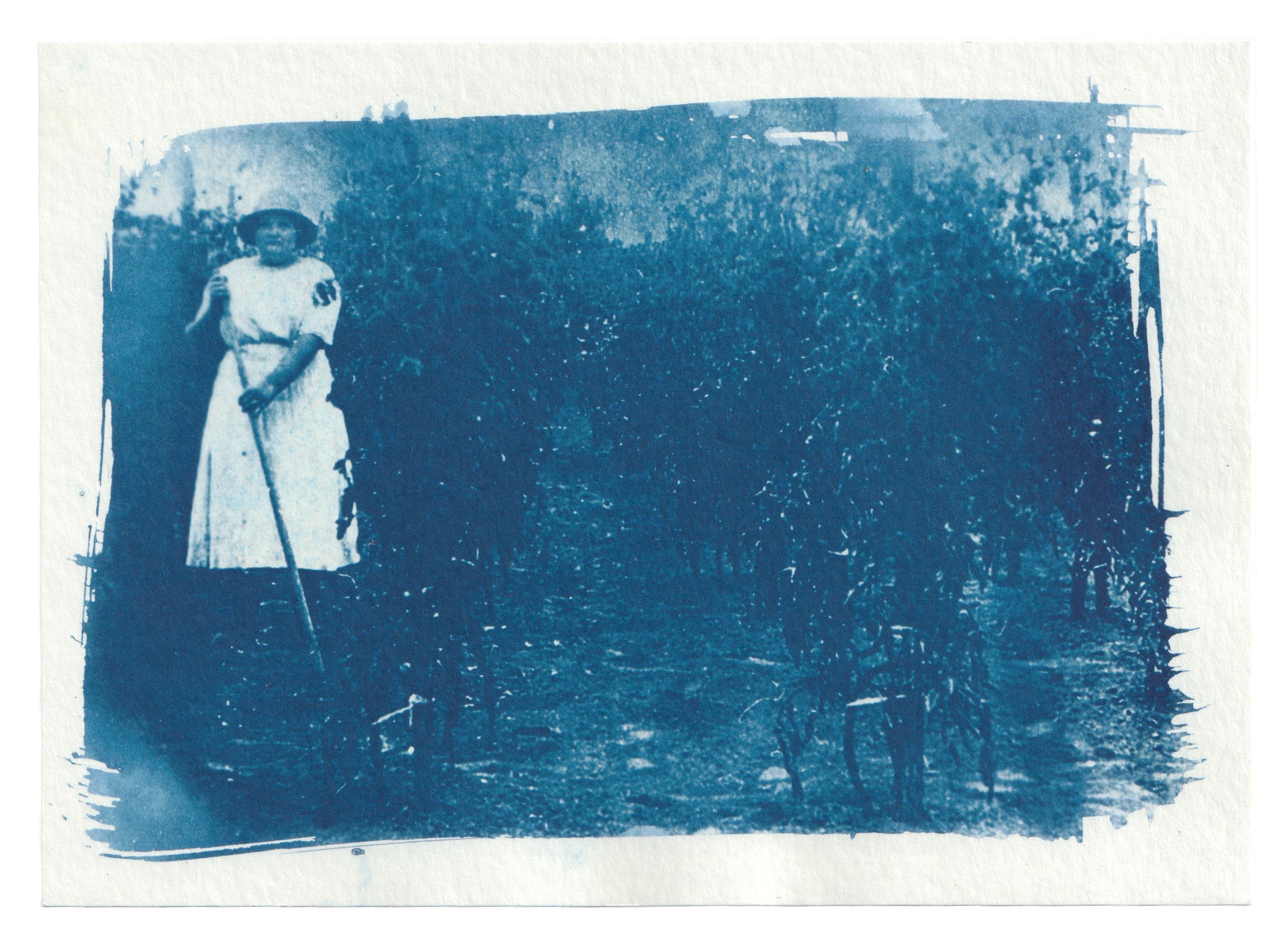 Scan 26.png