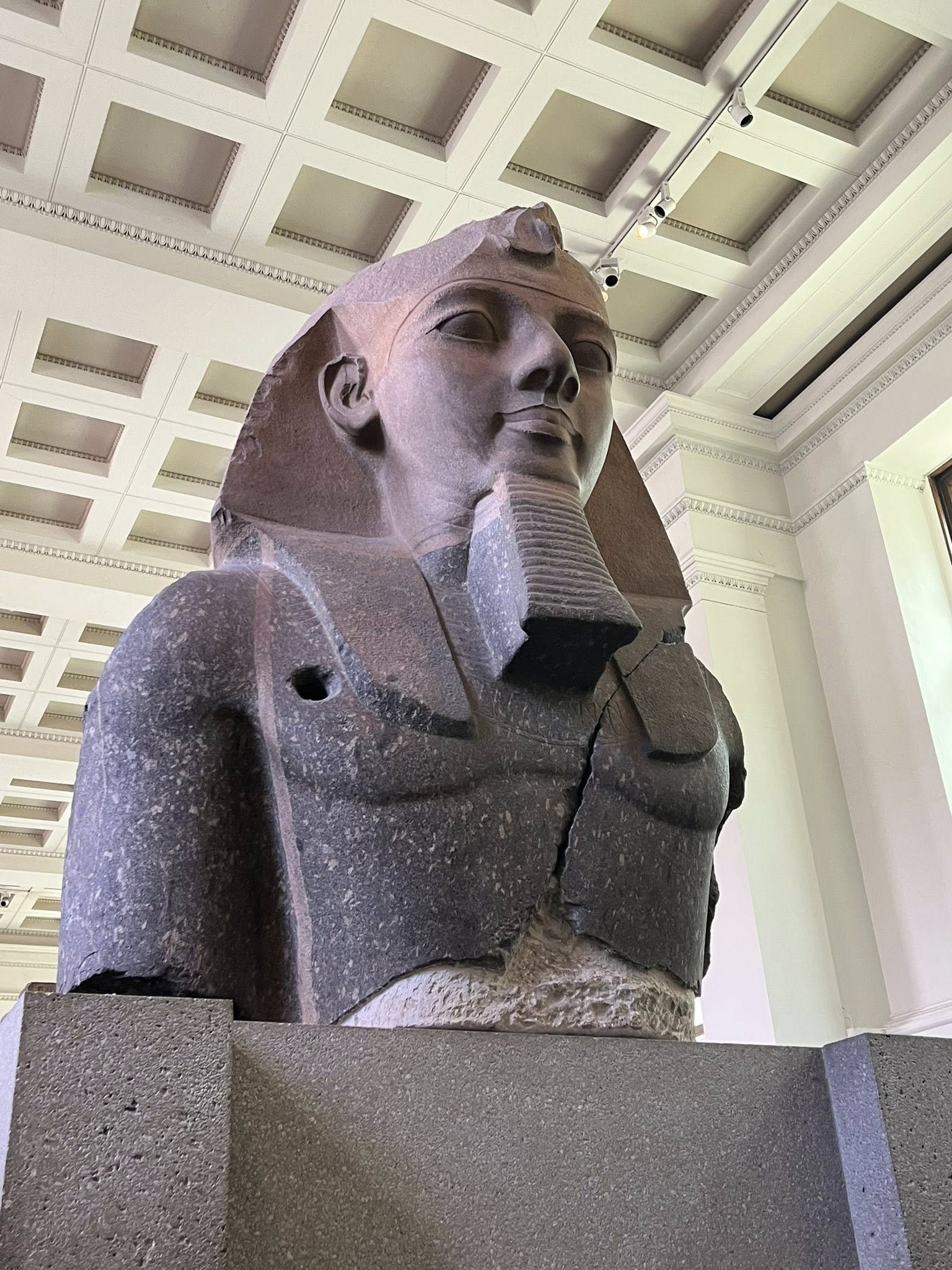 Bust of Ramesses II in the Egyptian galleries of the British Museum.