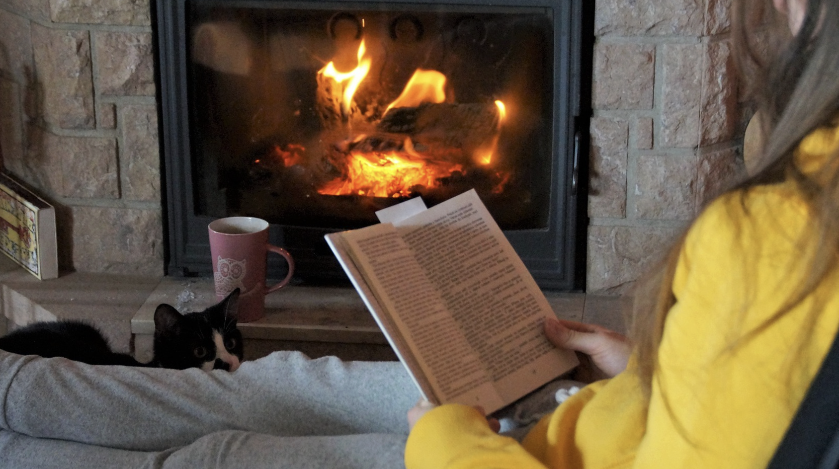 10 Amazing Books for Introverts