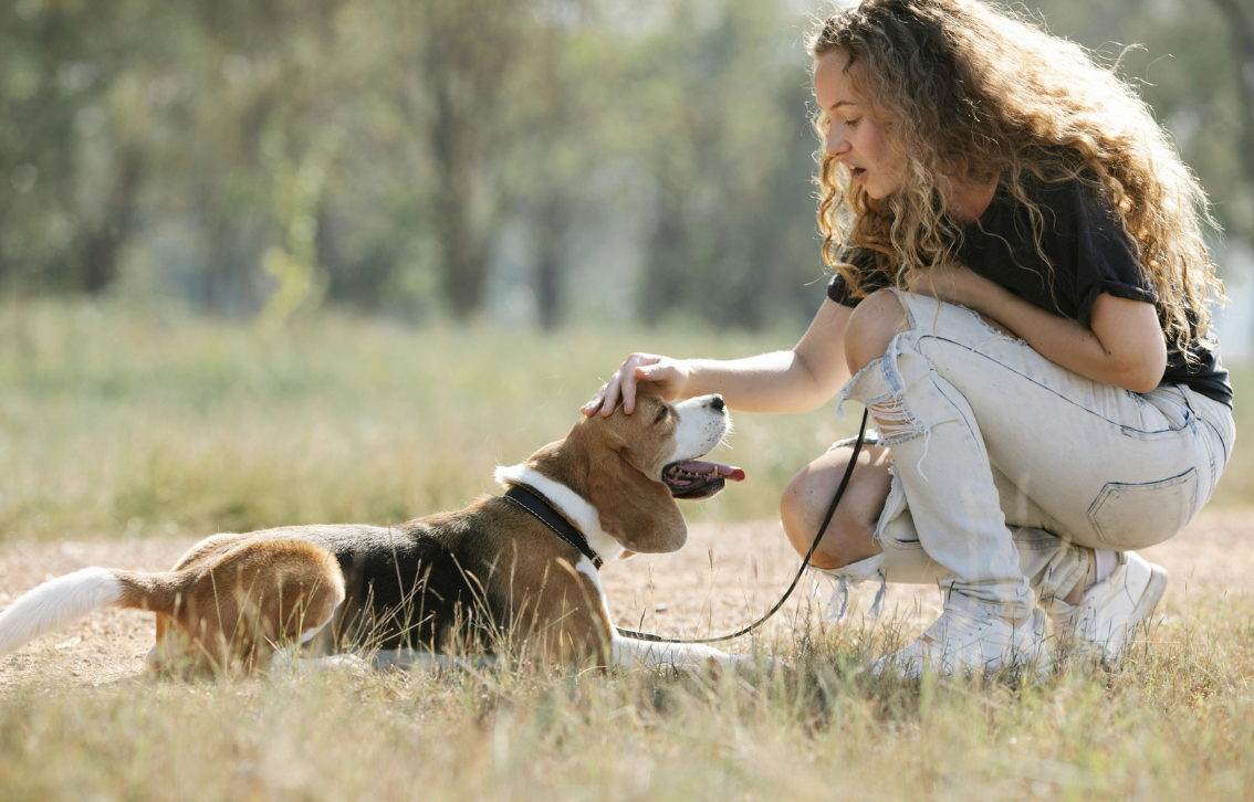 8 Best Dog Breeds for Introverts