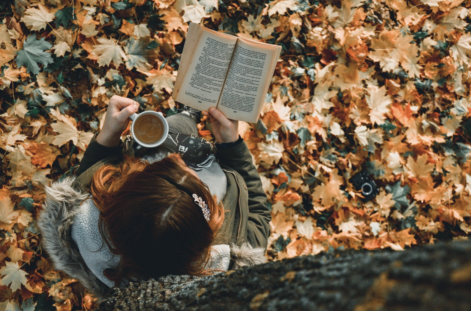 10 Things Introverts are Best at Doing