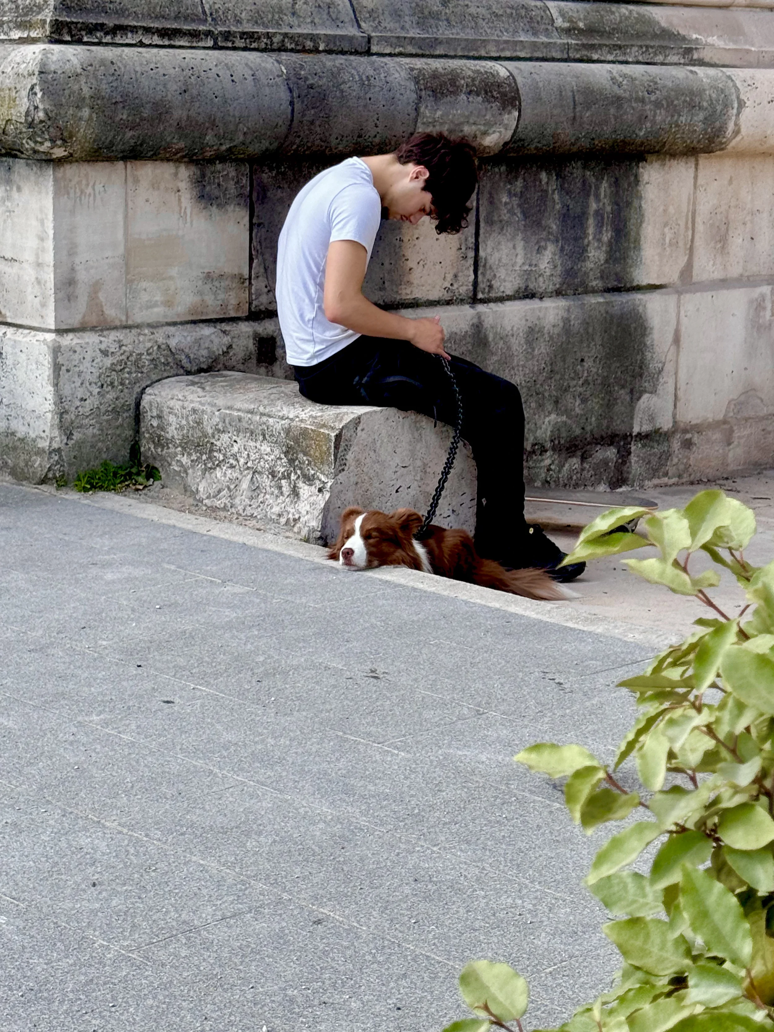 A young man with dark, wavy hair sits on a stone bench against a historic stone wall, resting with his head bowed and a gentle smile. He is holding a leash attached to a small brown and white dog lying on the ground, appearing relaxed and content. In