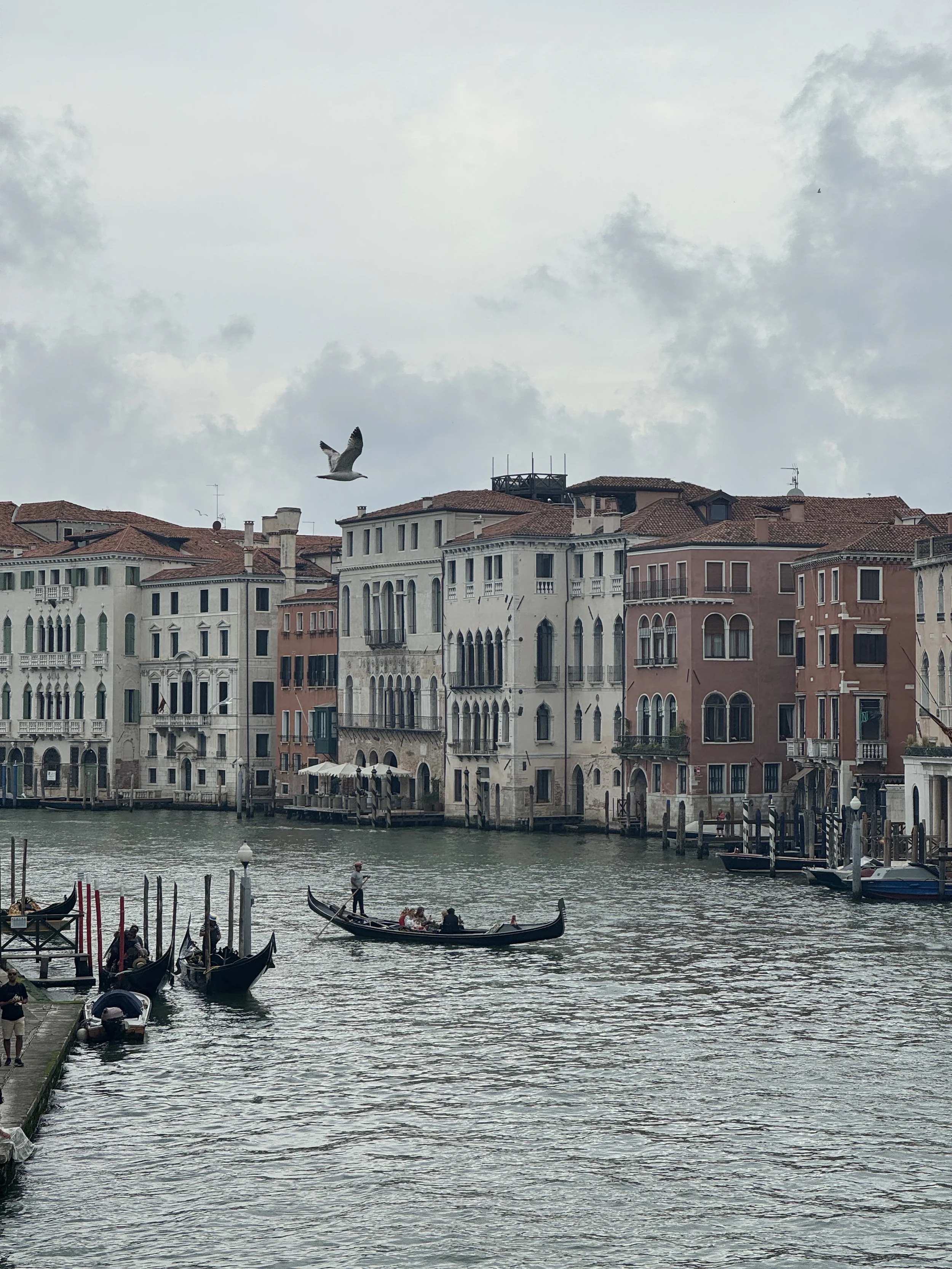 A view of Venice, Italy, with colorful historic buildings along a canal, gondolas, and a person riding a boat in the water under cloudy skies.