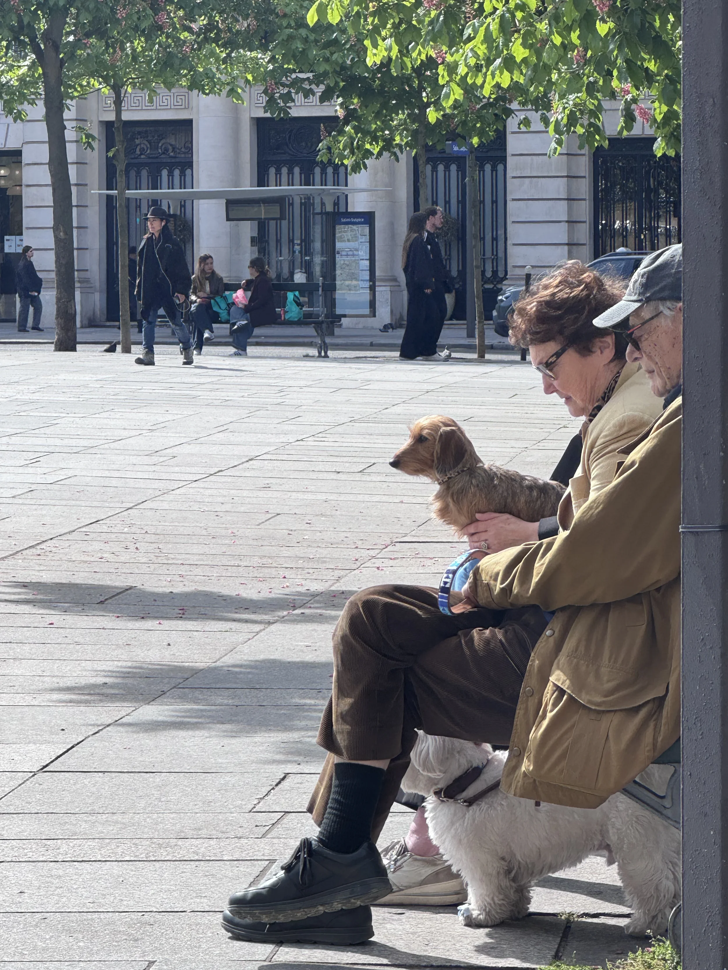 People sitting and standing at a sidewalk, with trees and a building in the background; a woman and a man sitting on a bench, a woman with a hat listening to music standing, and two young women sitting at the bus stop; a man and a woman standing and 