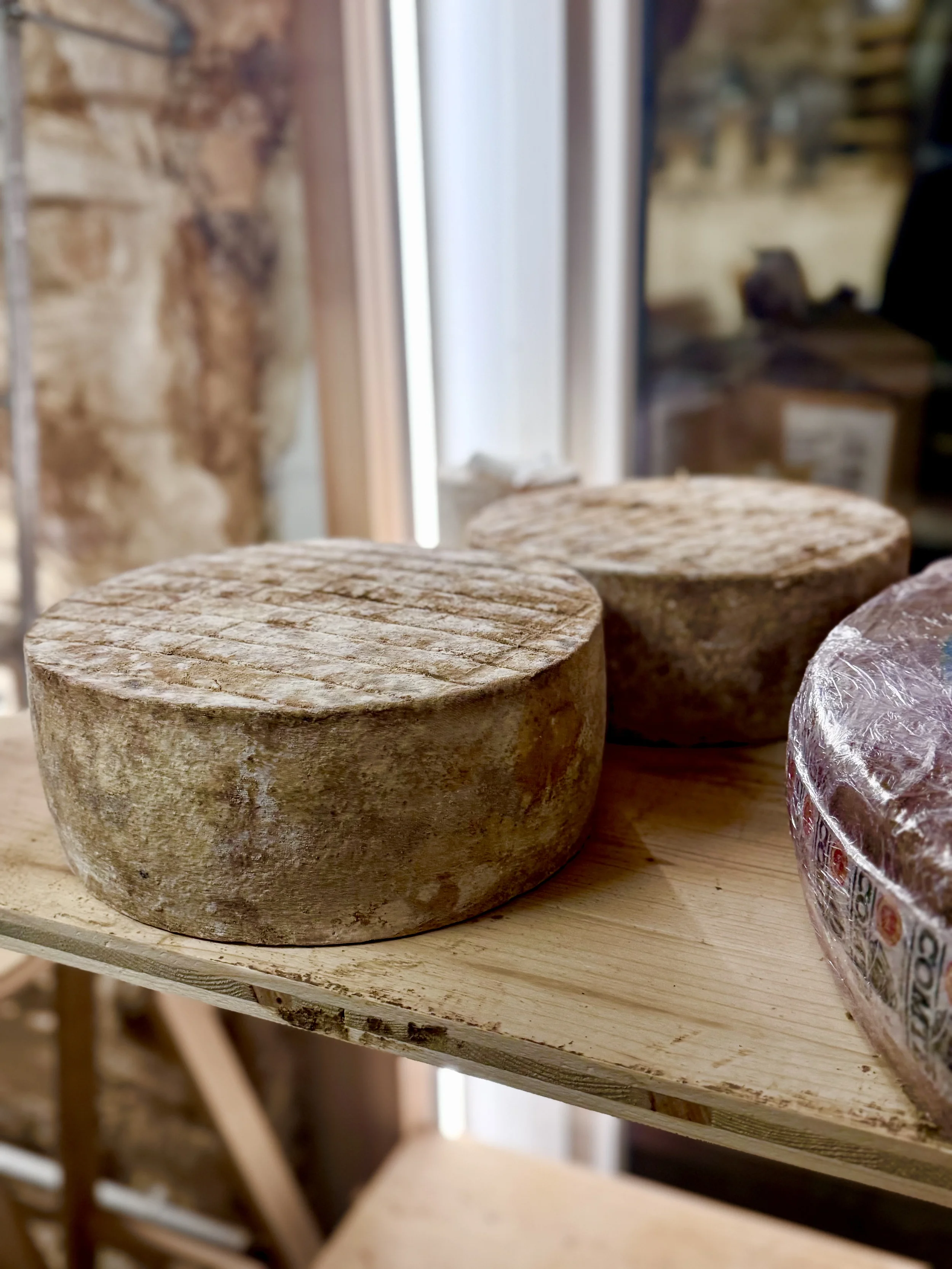 Close-up of a round wheel of aged cheese with a textured rind on a wooden surface.