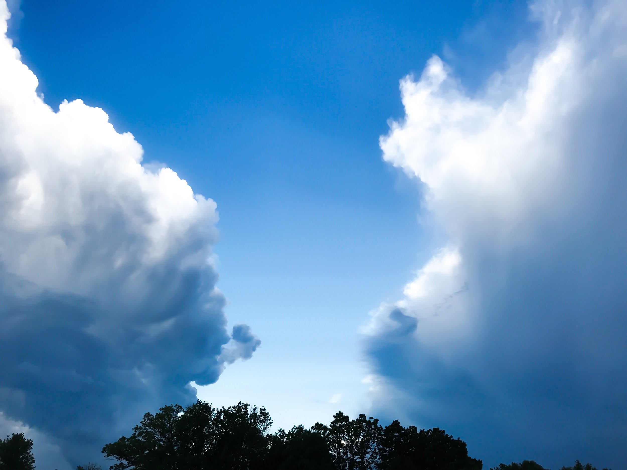 Cloudy sky with dark and white clouds, trees at the bottom.