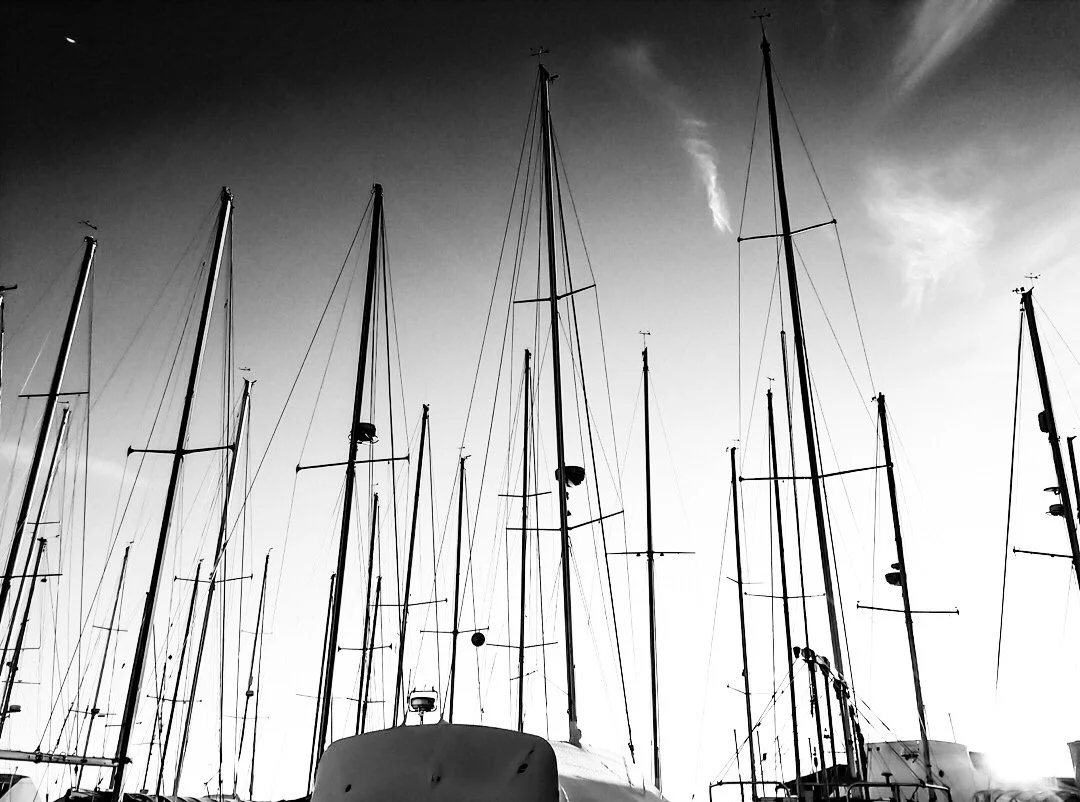 Black and white photo of sailboats docked at a marina with their masts reaching towards the sky.