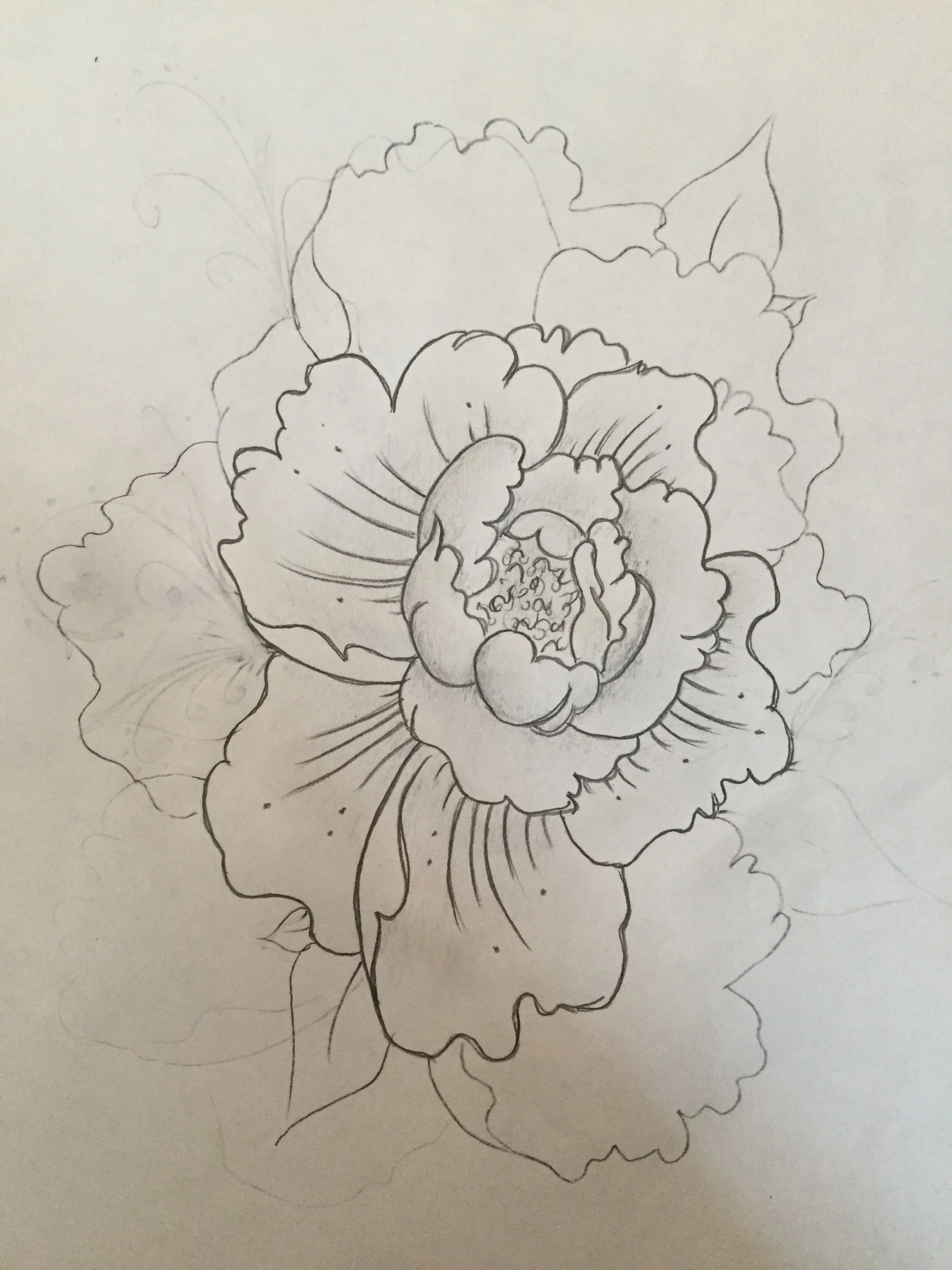 A detailed line drawing of a blooming flower with petals and intricate inner details.