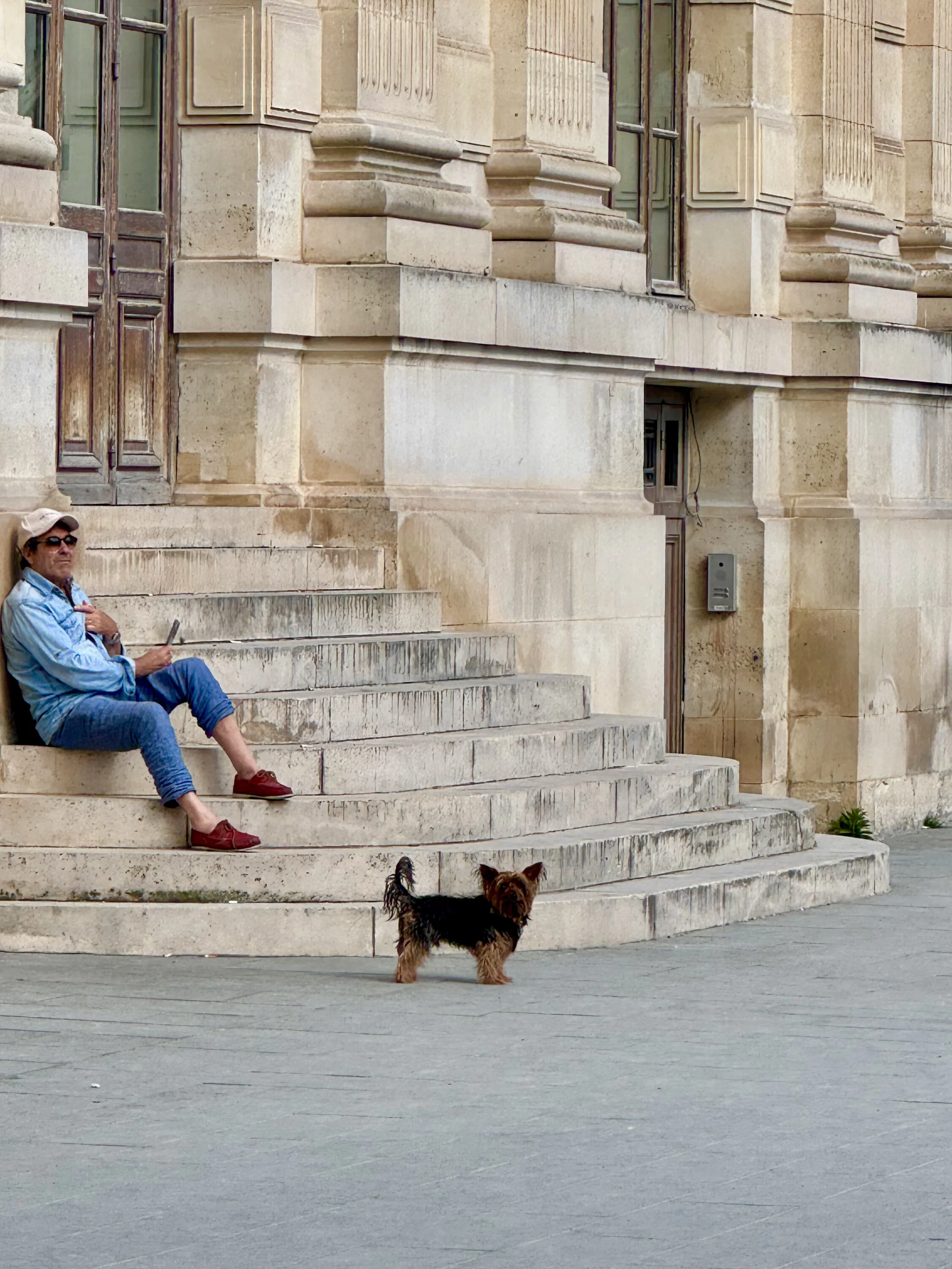 A man sitting on stone steps outside a historic building with ornate architectural details, accompanied by a small dog on the ground. The man is wearing sunglasses, a hat, a light jacket, and jeans.