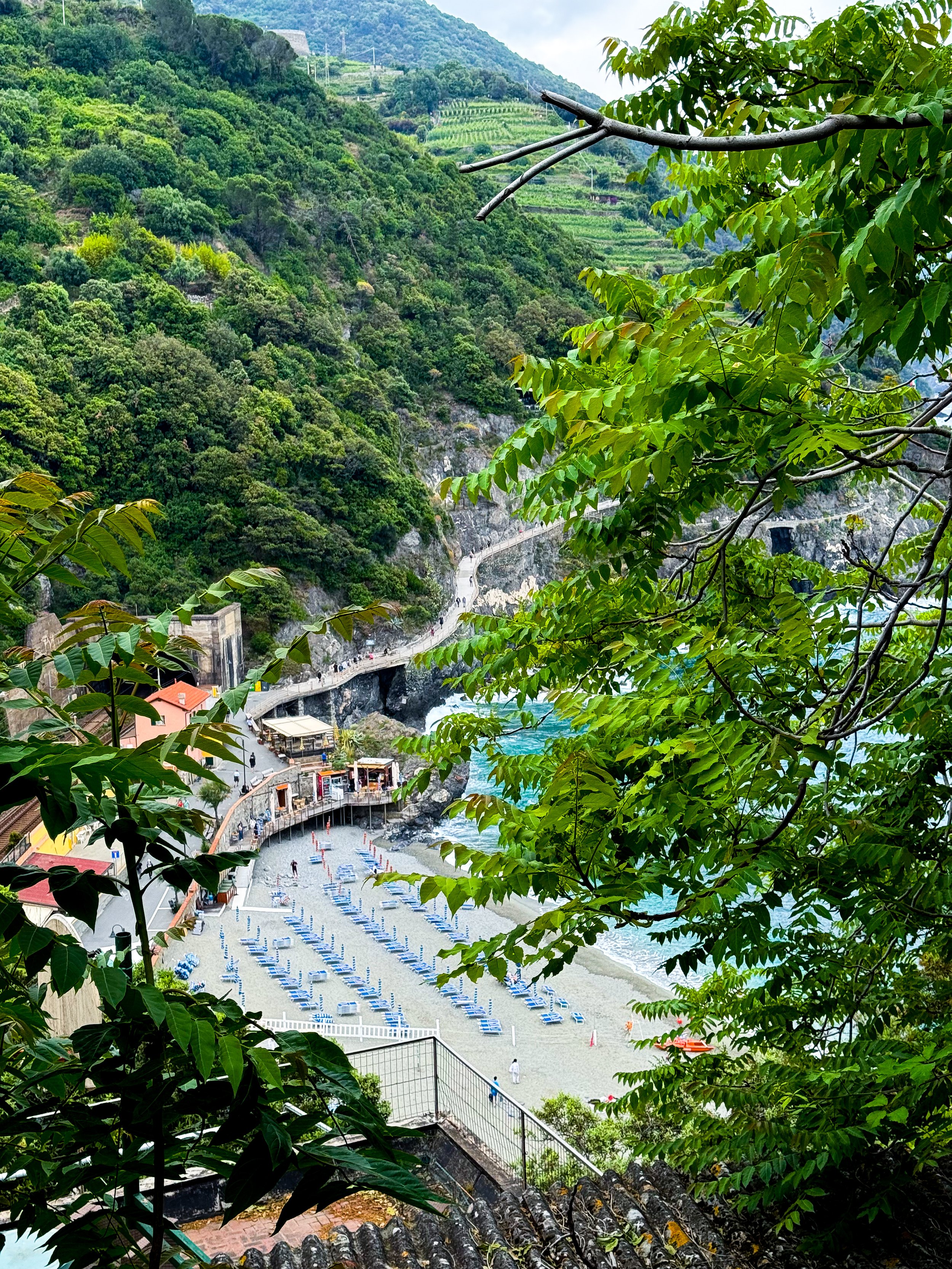 View of a coastal area with a beach, numerous blue lounge chairs, a small building, a walkway on a cliffside, lush green trees, hills in the background, and the ocean.