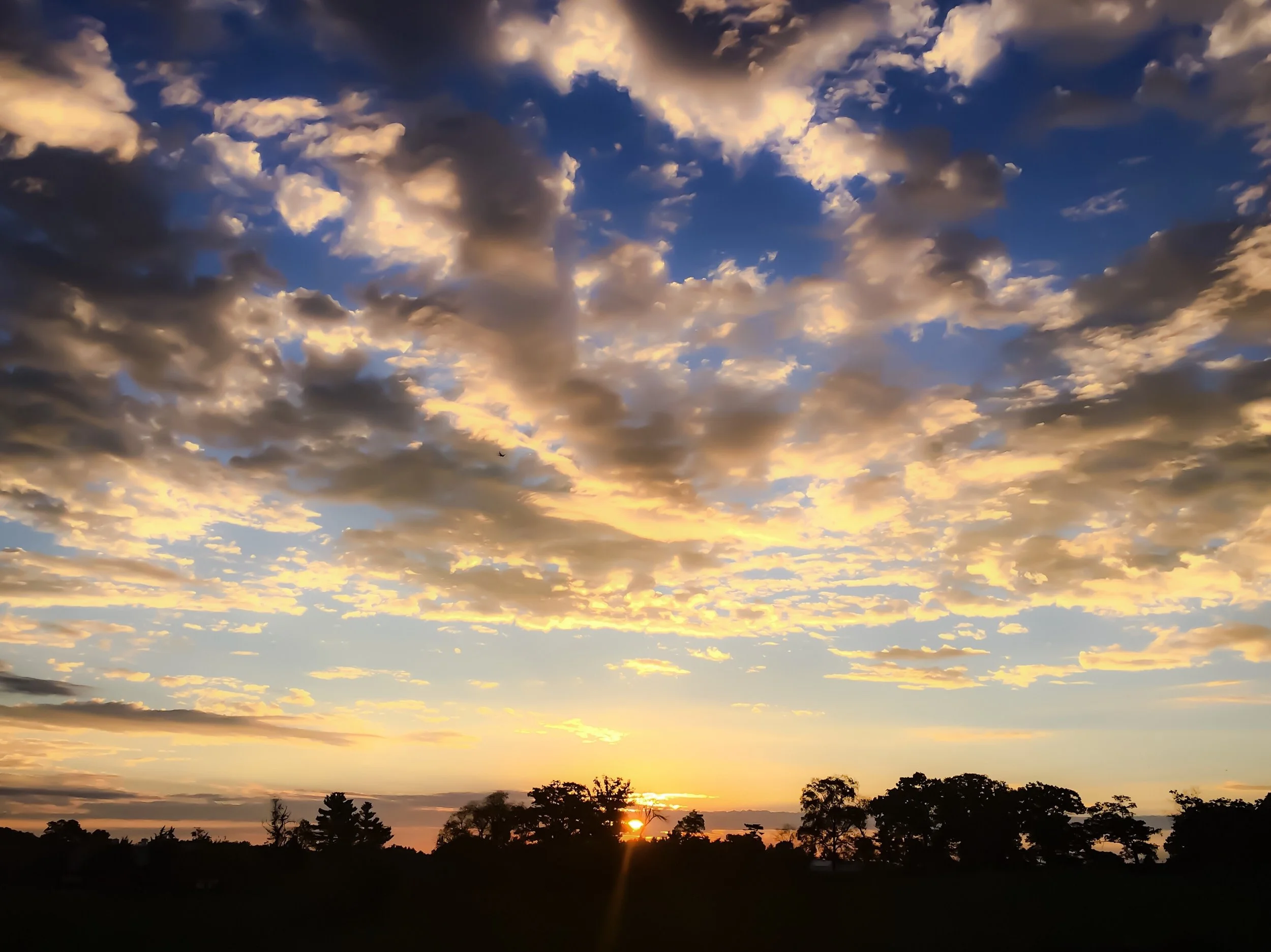 A sunset sky with scattered clouds and the silhouette of trees at the horizon.