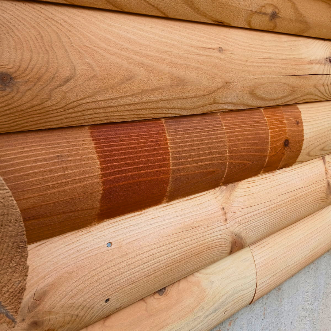 Close-up of wooden logs showing different stages of treatment or staining on the surface.