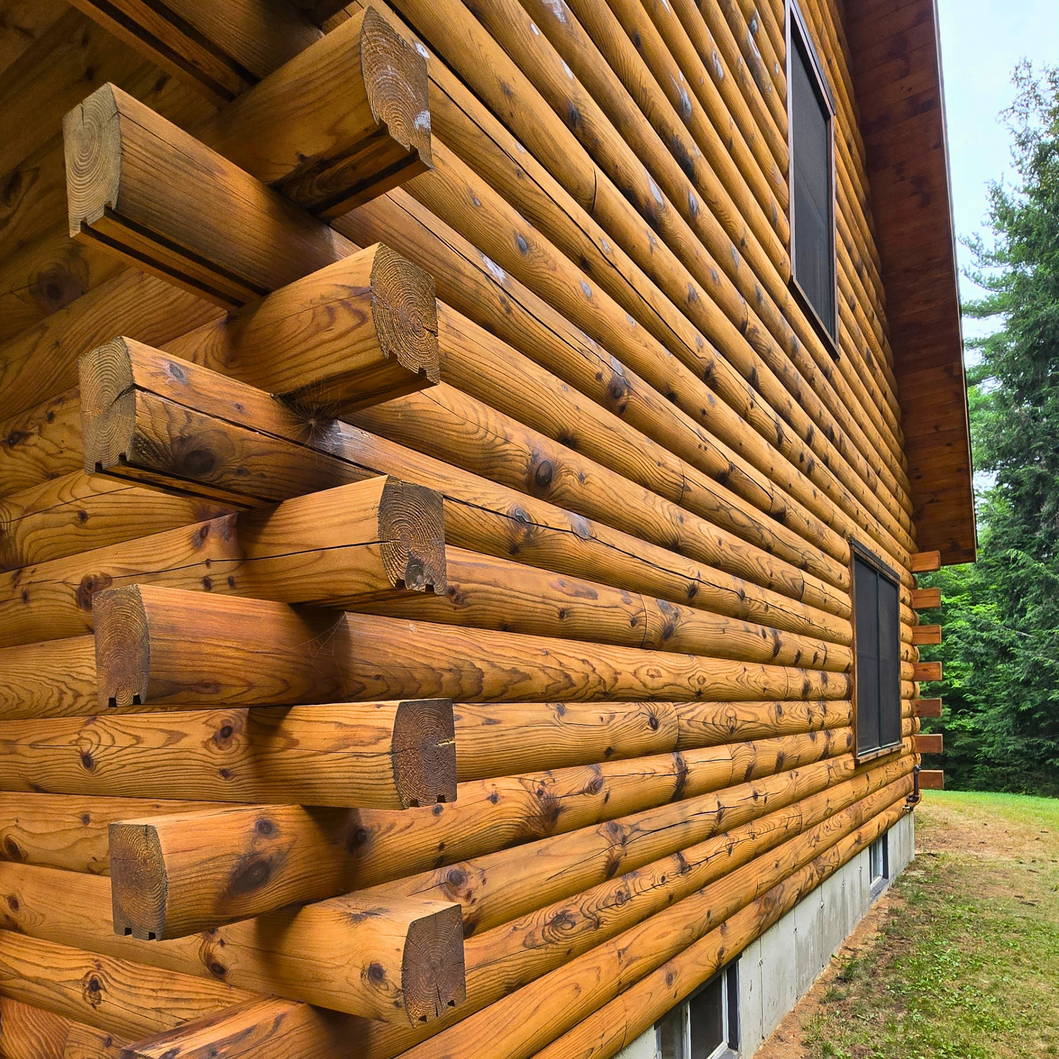 Close-up of a log cabin's exterior wall made of horizontal rounded logs with visible wood grain, knots, and chinking between logs, near a window and surrounded by trees.