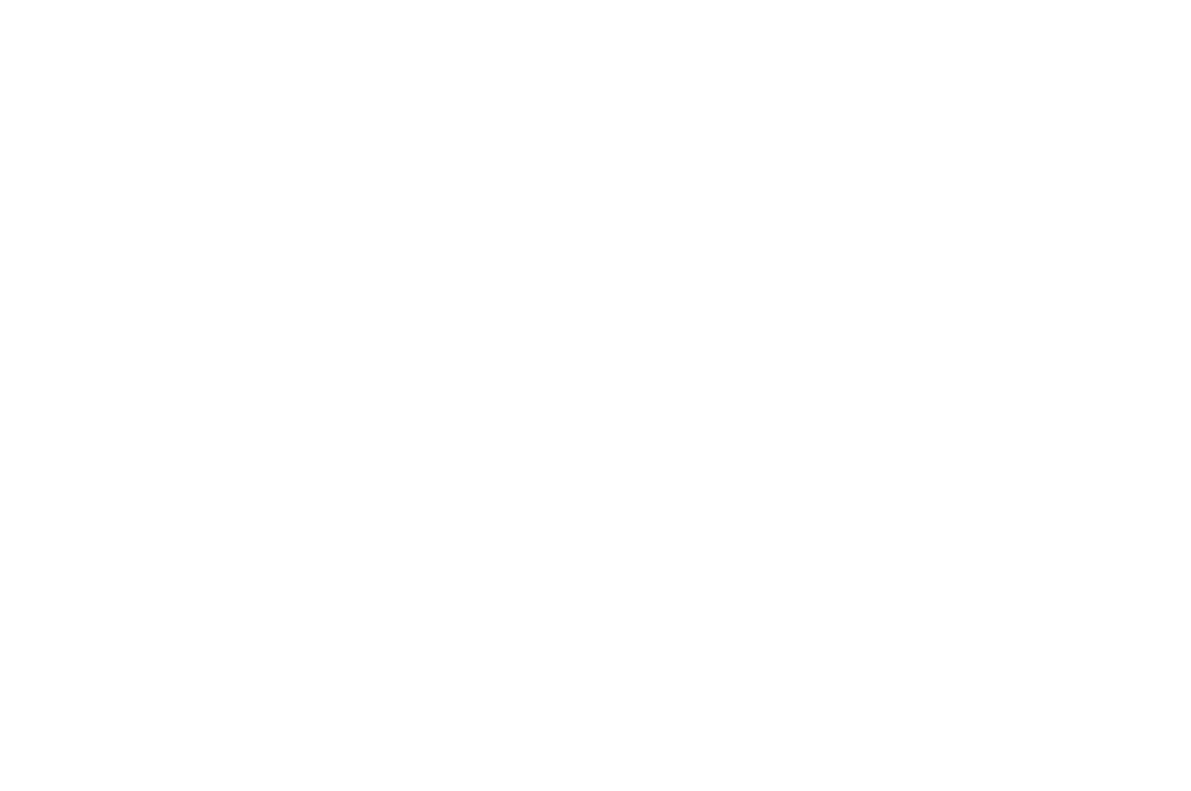 A black badge with white laurel wreaths on the sides, featuring text that reads "Official Selection V.I.Z. Film Fest 2023."