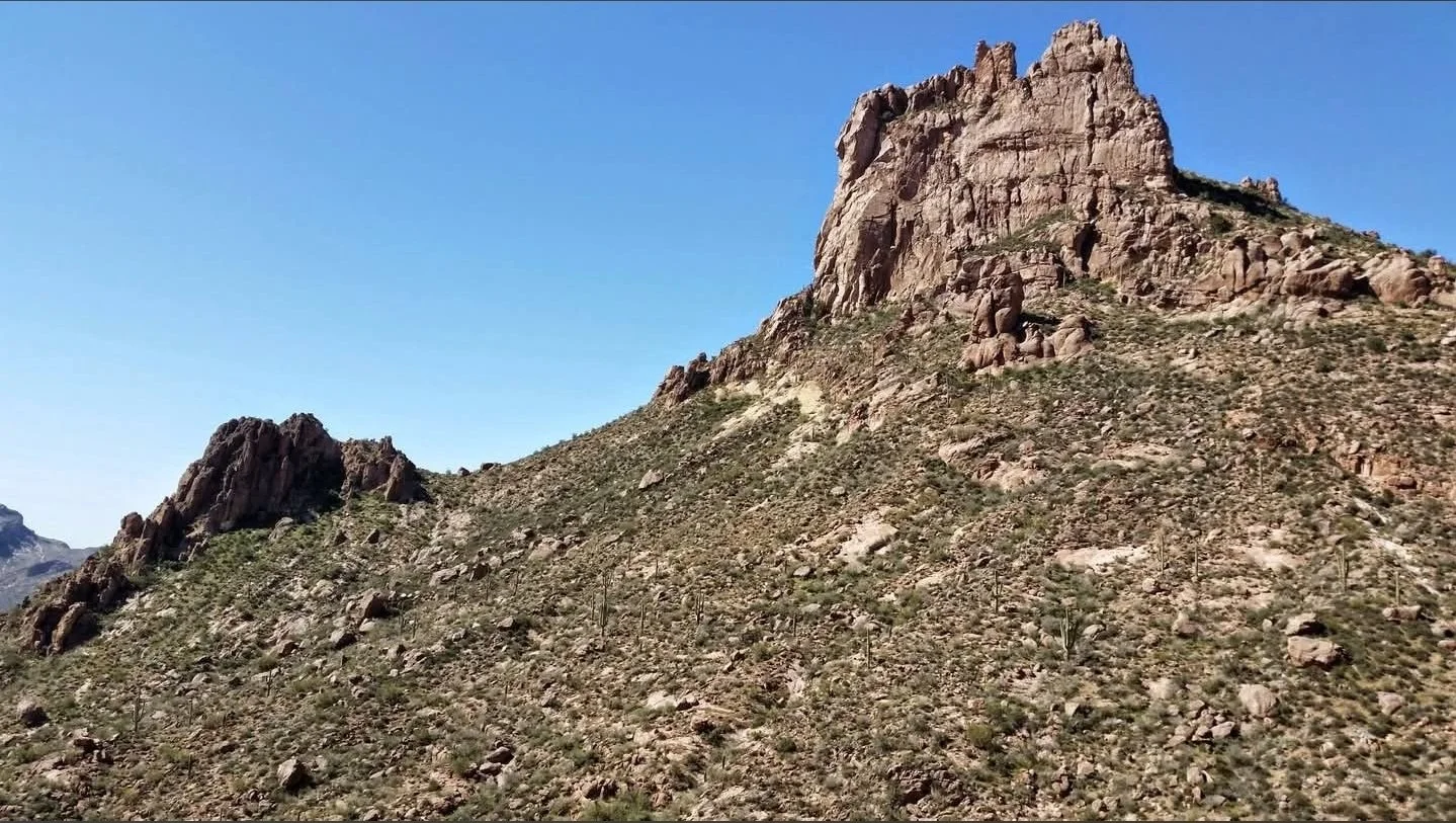 Miners needle