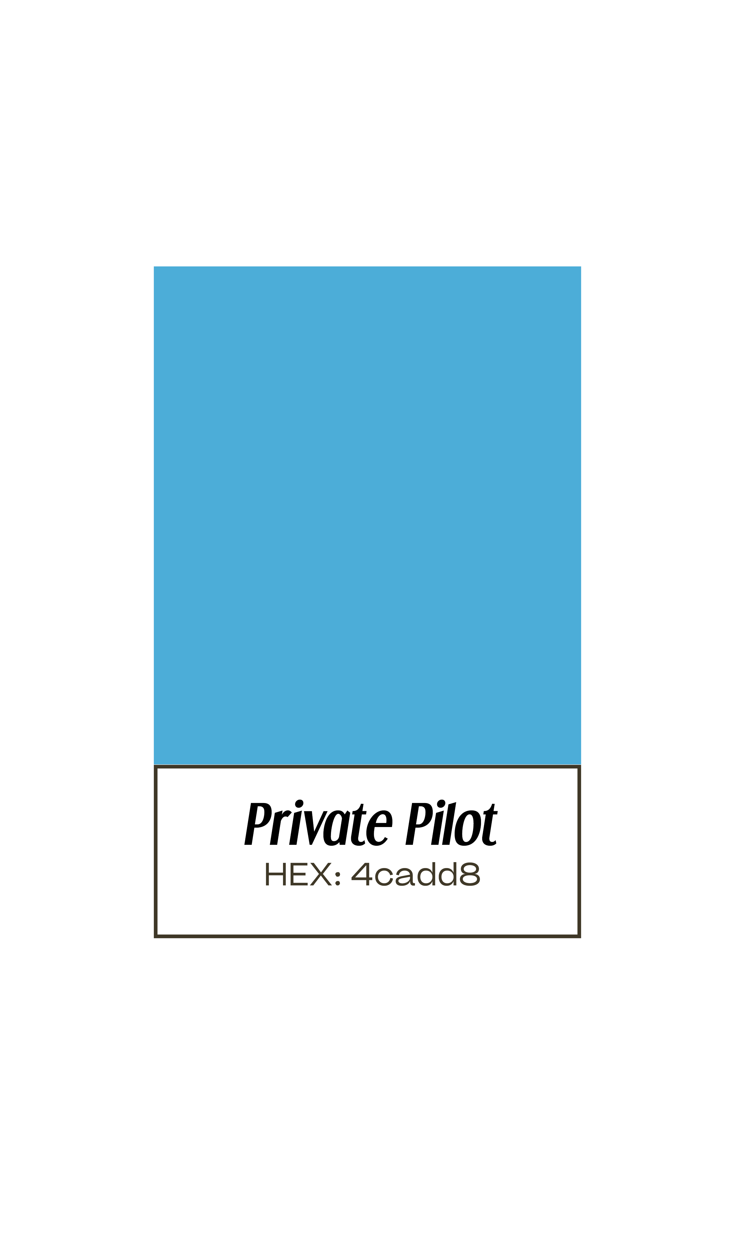 A blue square with the text 'Private Pilot' and 'HEX: 4cad8' written below it.