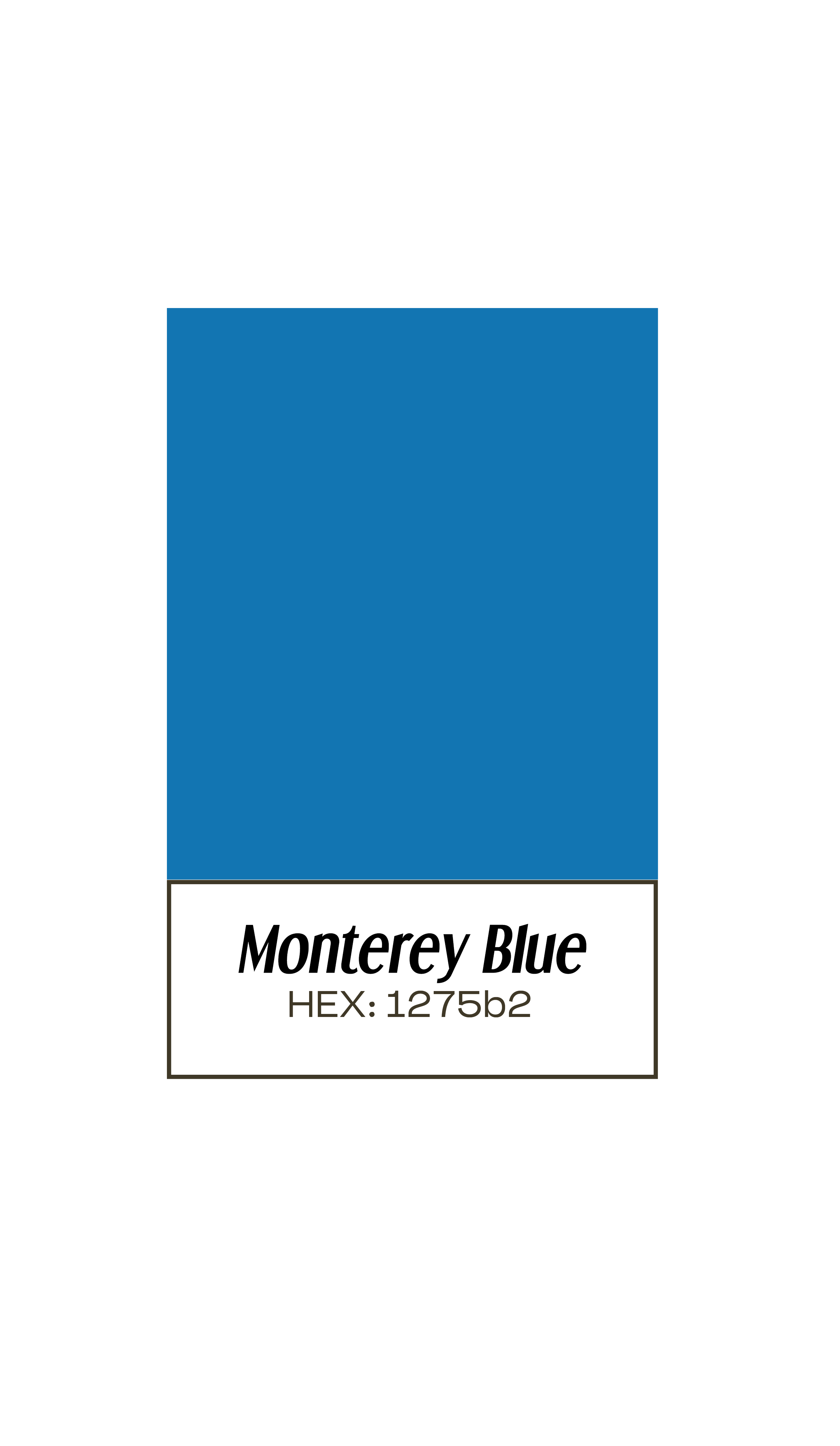 Color swatch of Monterey Blue with hex code #1275b2, labeled 'Monterey Blue'.