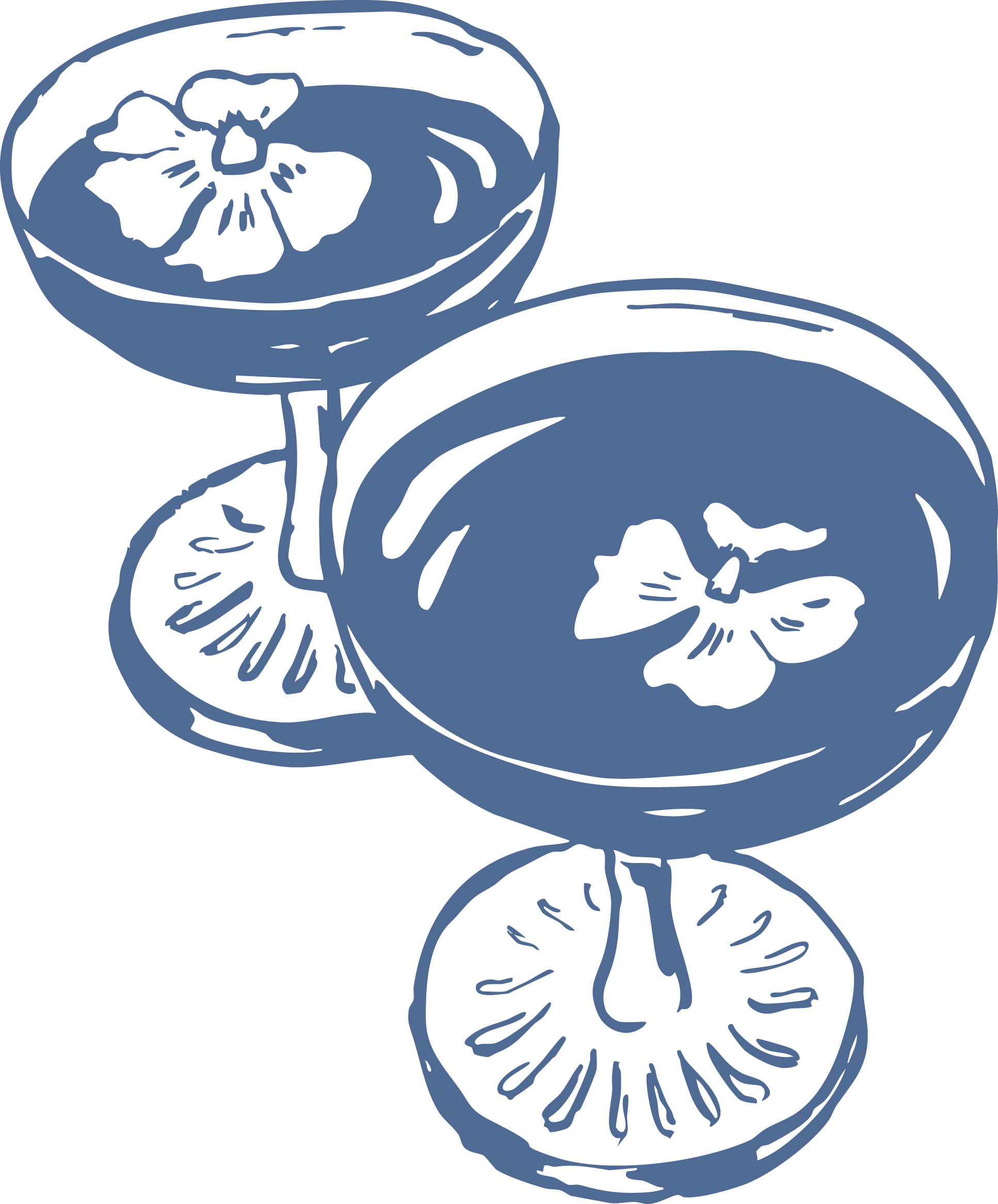 Stylized illustration of cocktail glasses with drink and edible flowers.