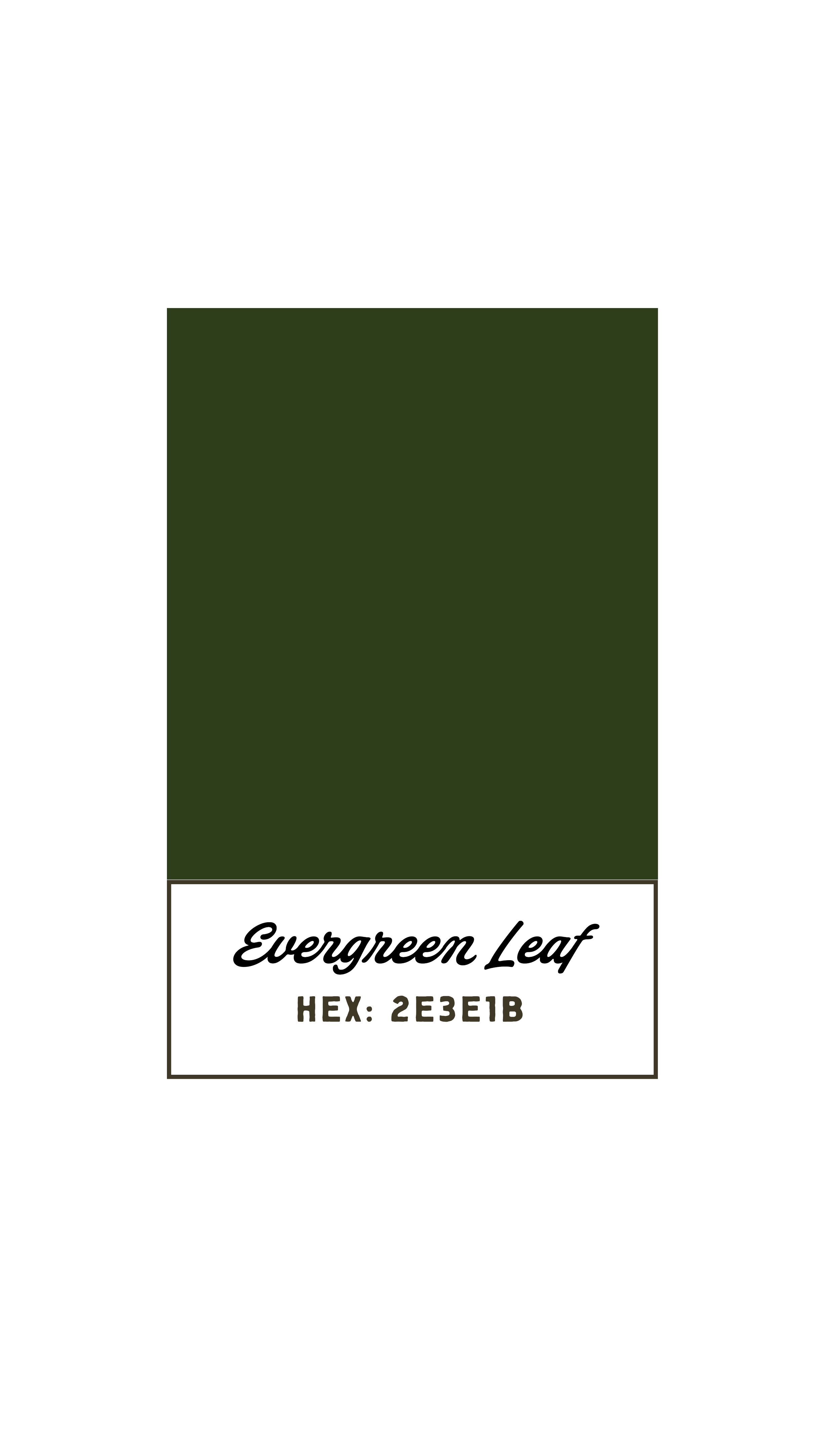 Close-up of a plant label for Evergreen Leaf, showing a dark green square with the name in cursive and the hexadecimal color code #2E3E1B.